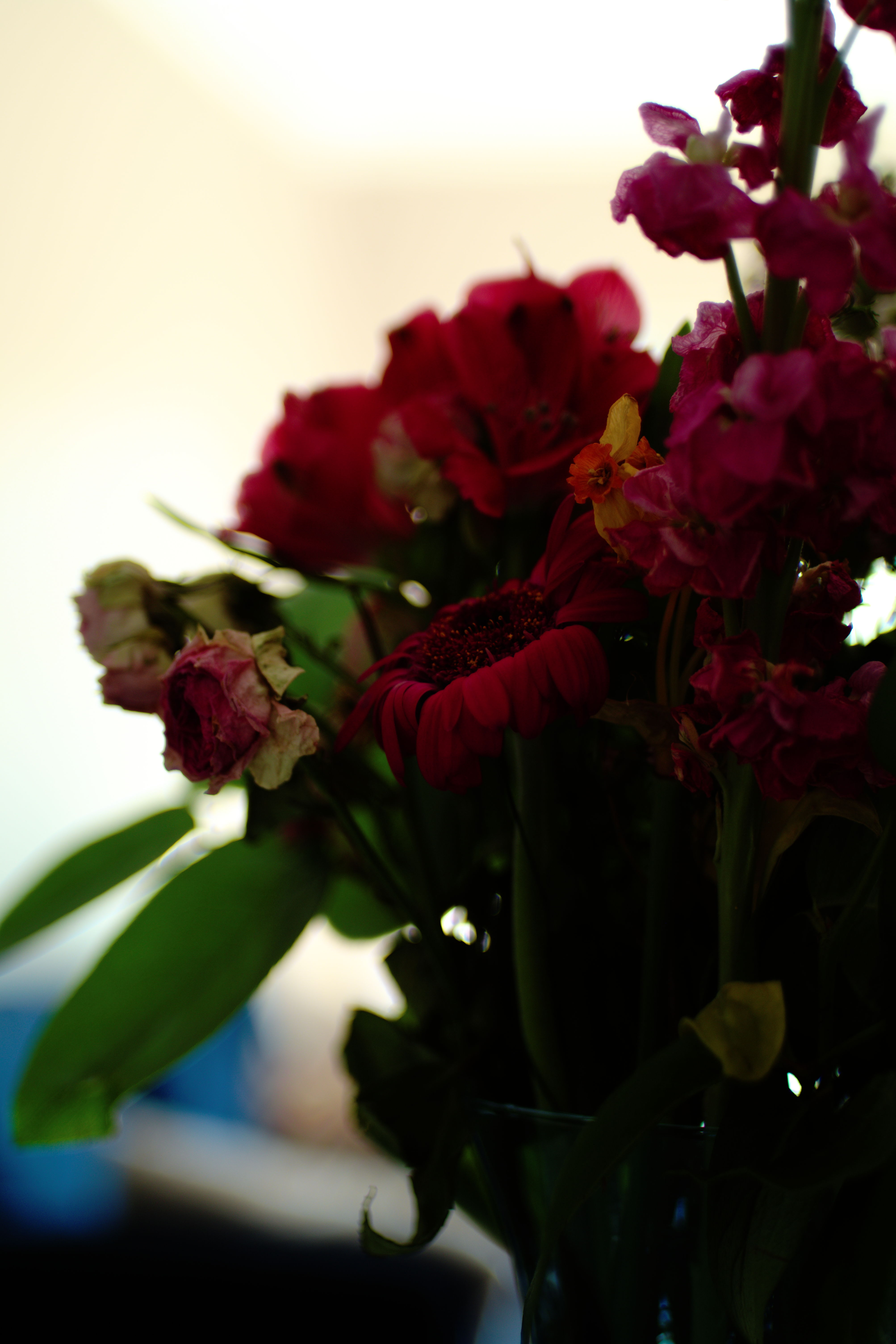 FujiFilm X-T20 + Konica Hexanon AR 40mm f/1.8, ISO 200, f/1.8, 1/60 s