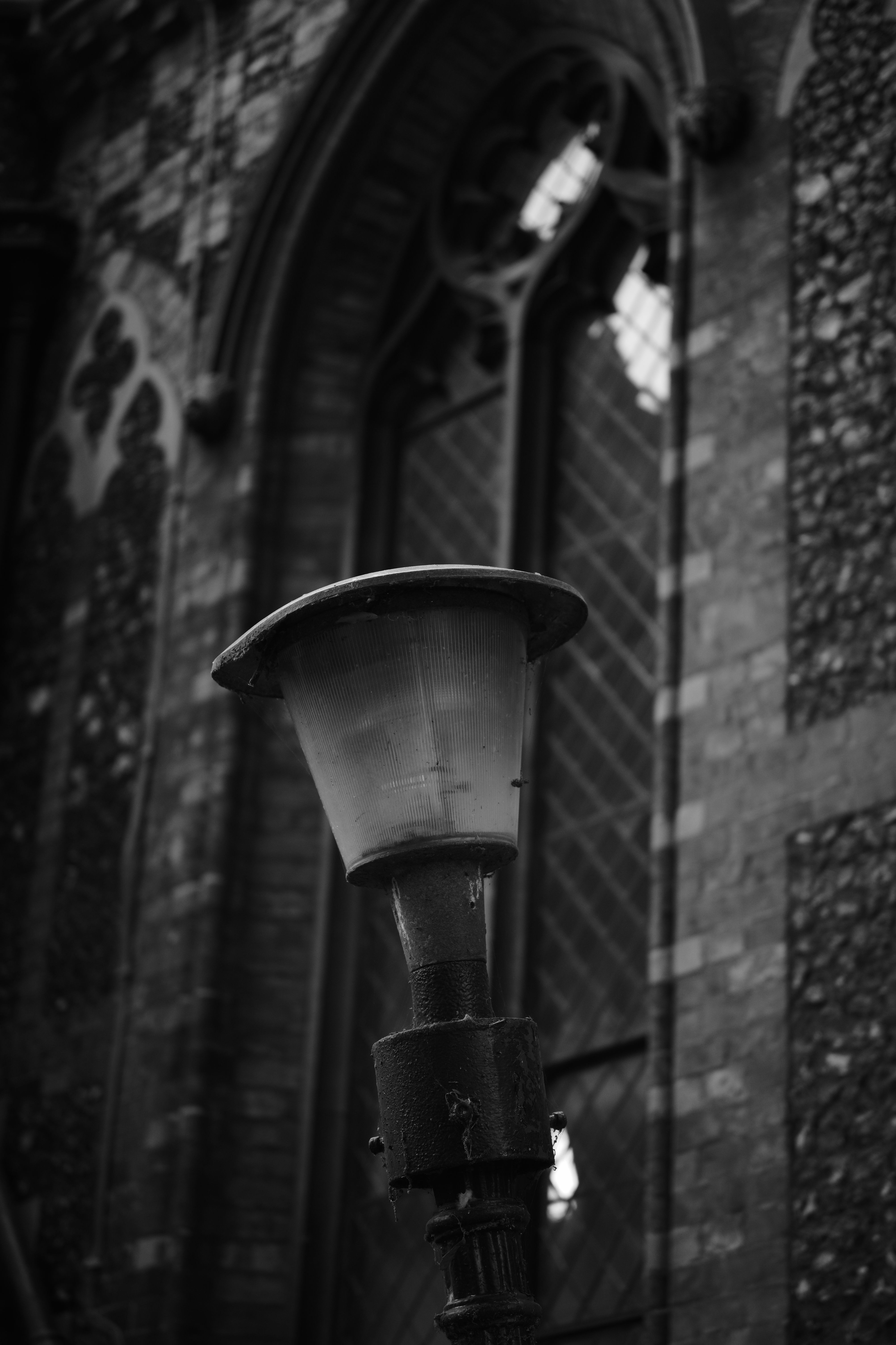 FujiFilm X-T20 + Viltrox 56mm f/1.7, ISO 200, f/1.7, 1/500 s