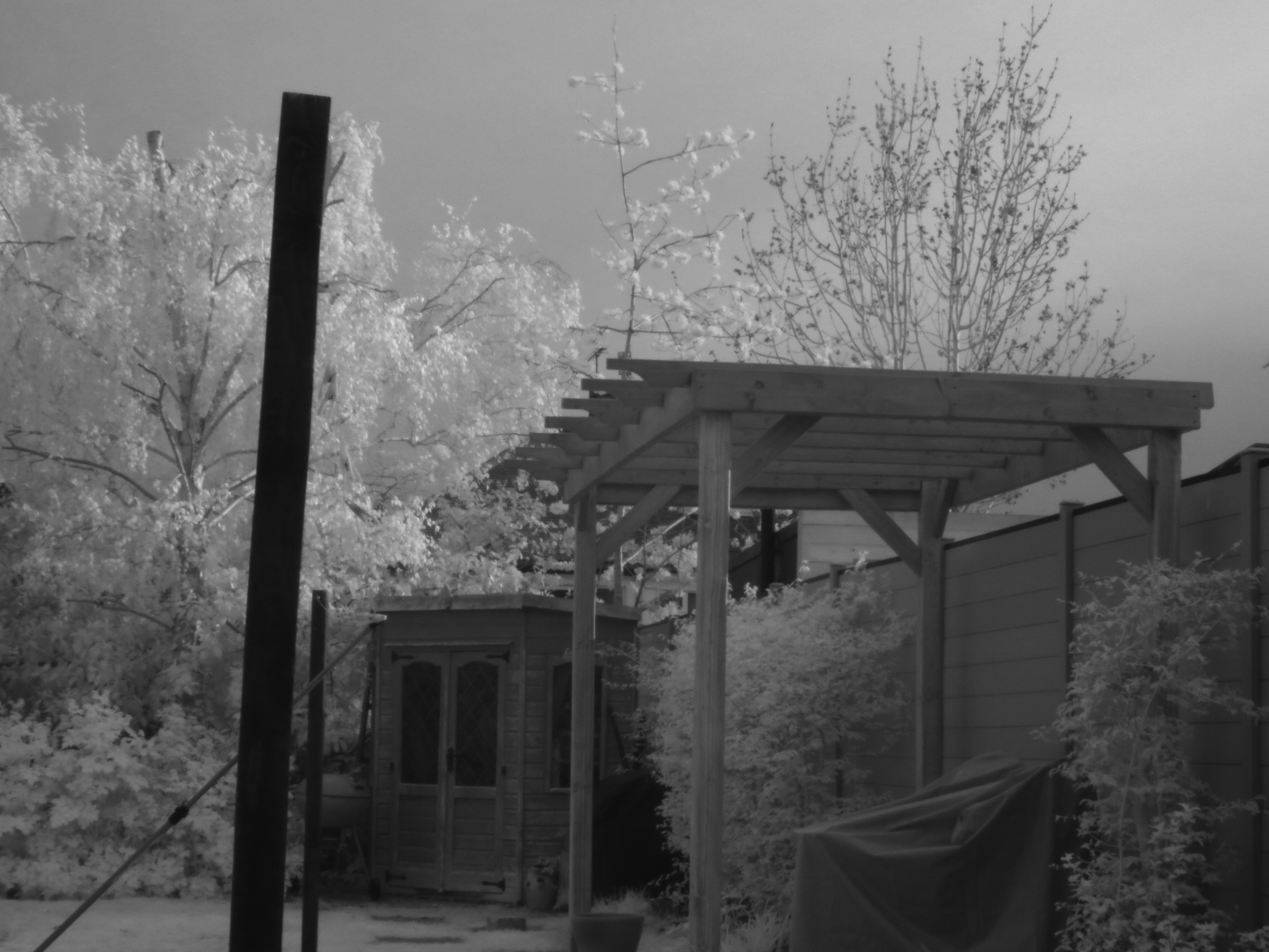 Canon Powershot SX540 HS, ISO 100, f/6.3, 1/125 s