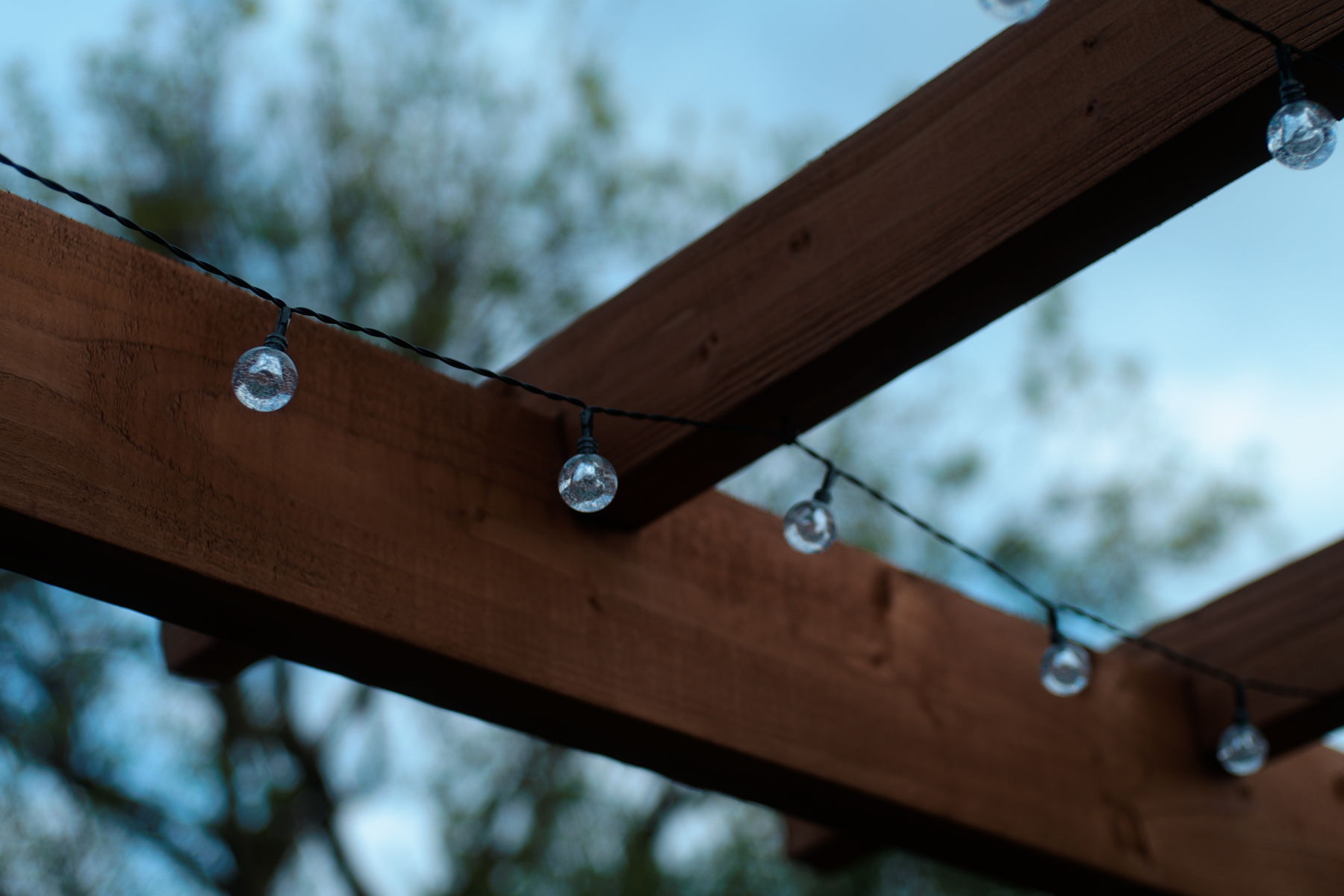 FujiFilm X-T20 + Konica Hexanon AR 40mm f/1.8, ISO 200, f/1.8, 1/1000 s
