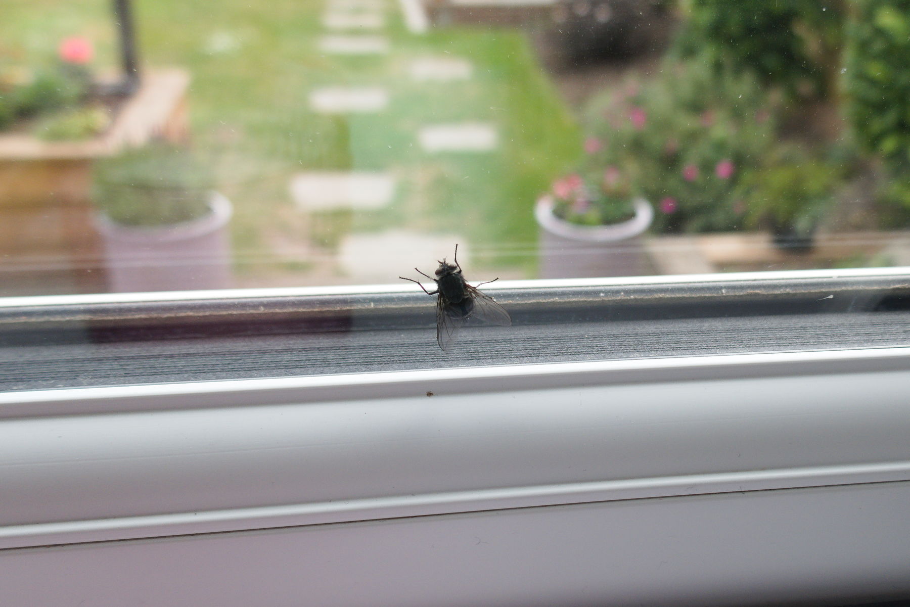 Panasonic Lumix DMC-TZ100, ISO 125, f/2.8, 1/400 s