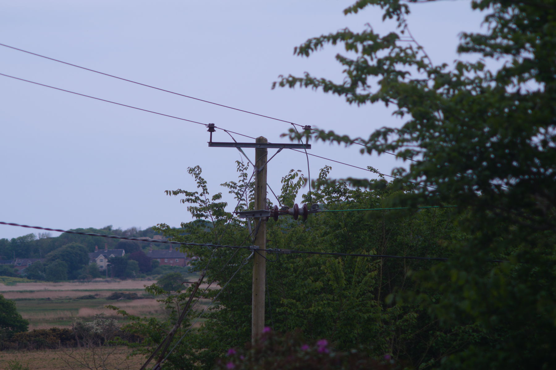 FujiFilm X-T20 + Tamron 90mm f/2.5 SP + Tamron 2x Teleconverter, ISO 200, f/?, 1/180 s