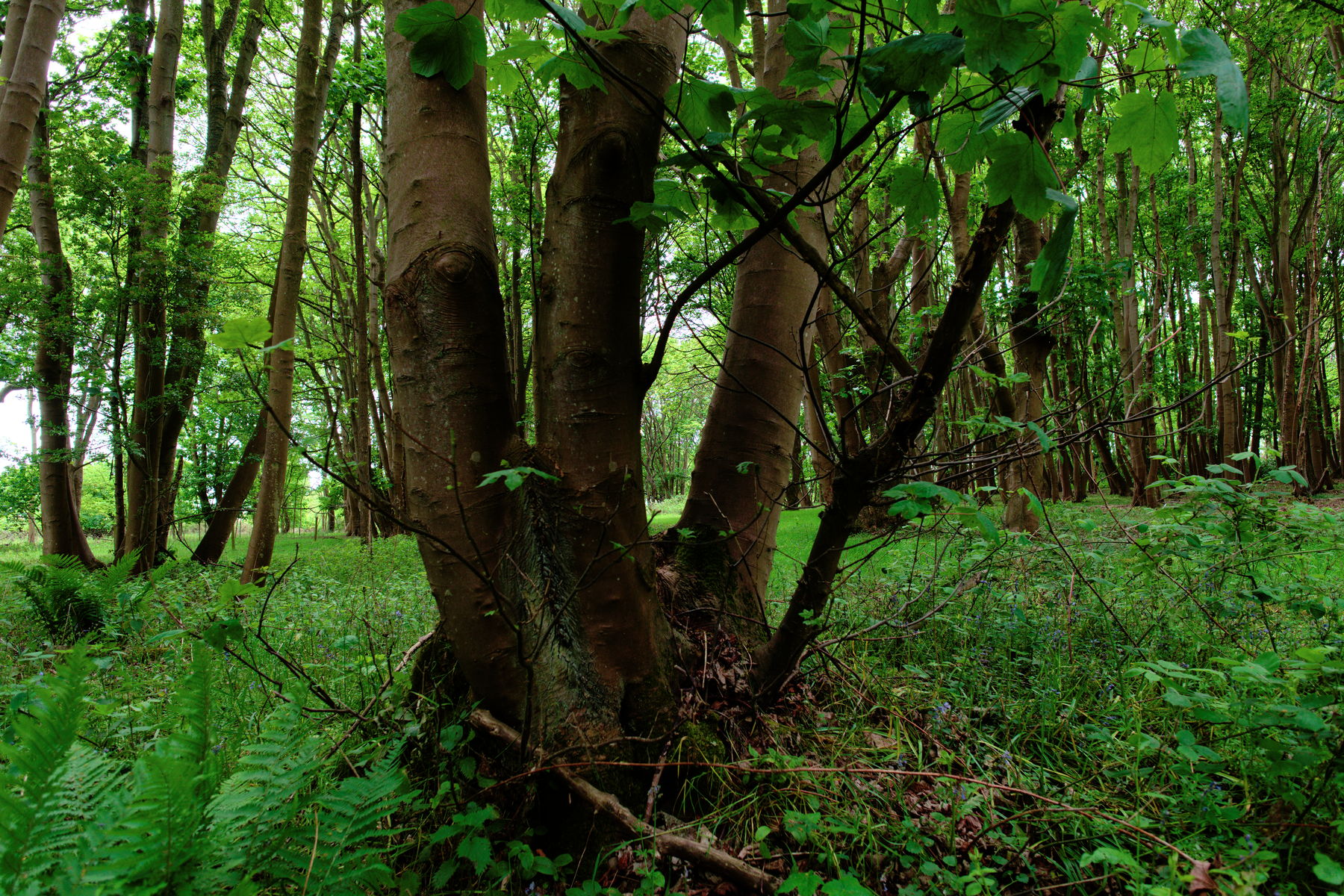 FujiFilm X-T20 + FujiFilm XF 14mm f/2.8, ISO 200, f/4, 1/125 s