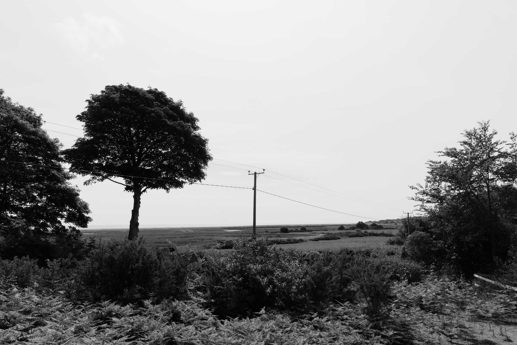 FujiFilm X-T20 + FujiFilm XF 14mm f/2.8, ISO 200, f/8, 1/2000 s