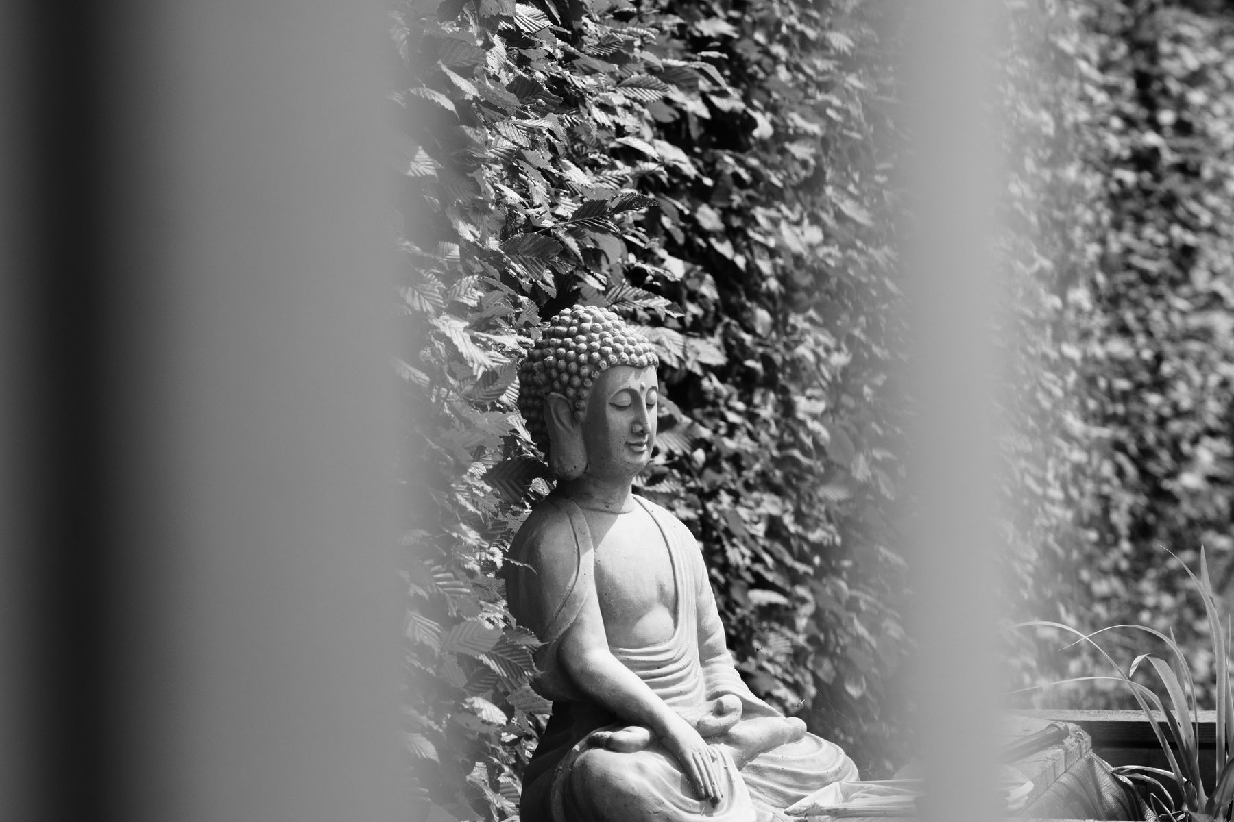 FujiFilm X-T20 + Tamron 90mm f/2.5 SP, ISO 200, f/?, 1/1000 s