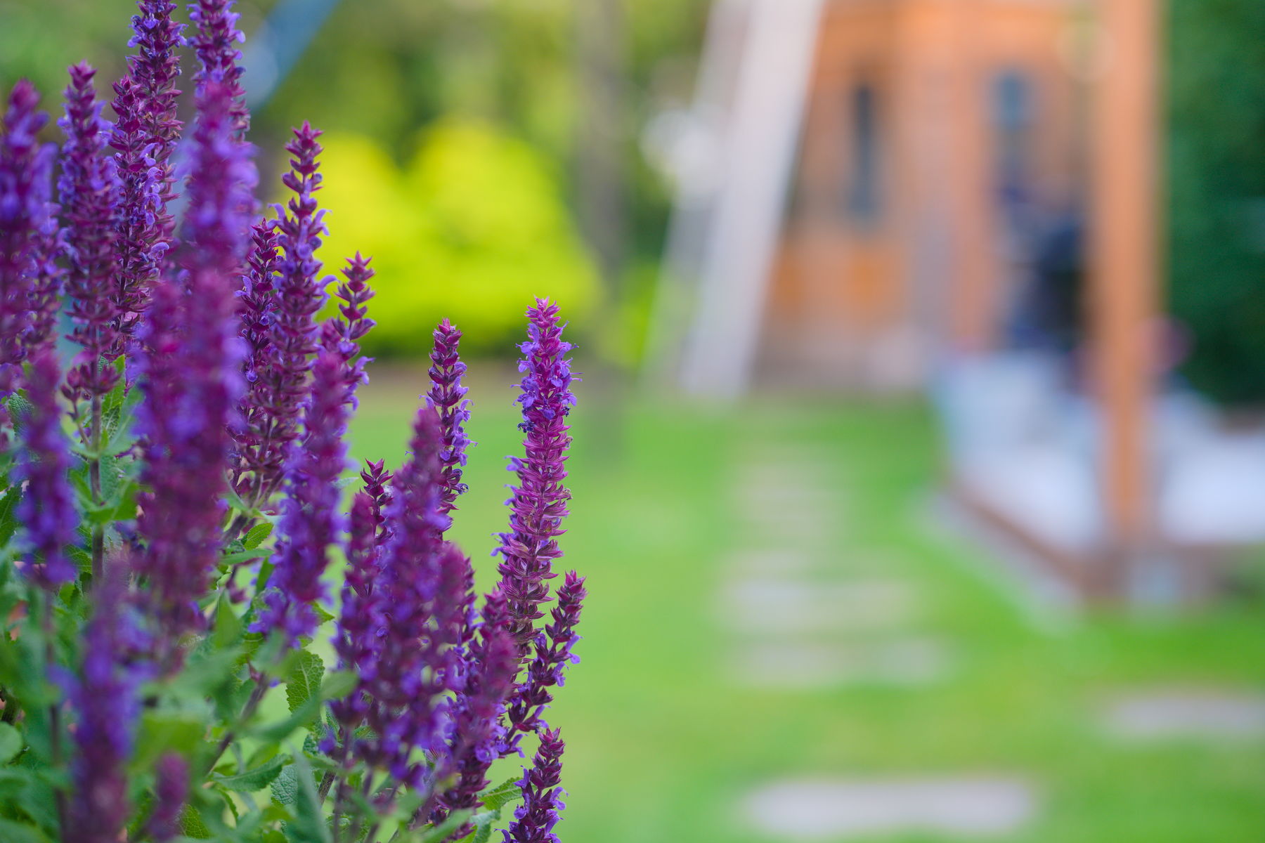 FujiFilm X-T20 + Viltrox 56mm f/1.7, ISO 200, f/2.8, 1/60 s