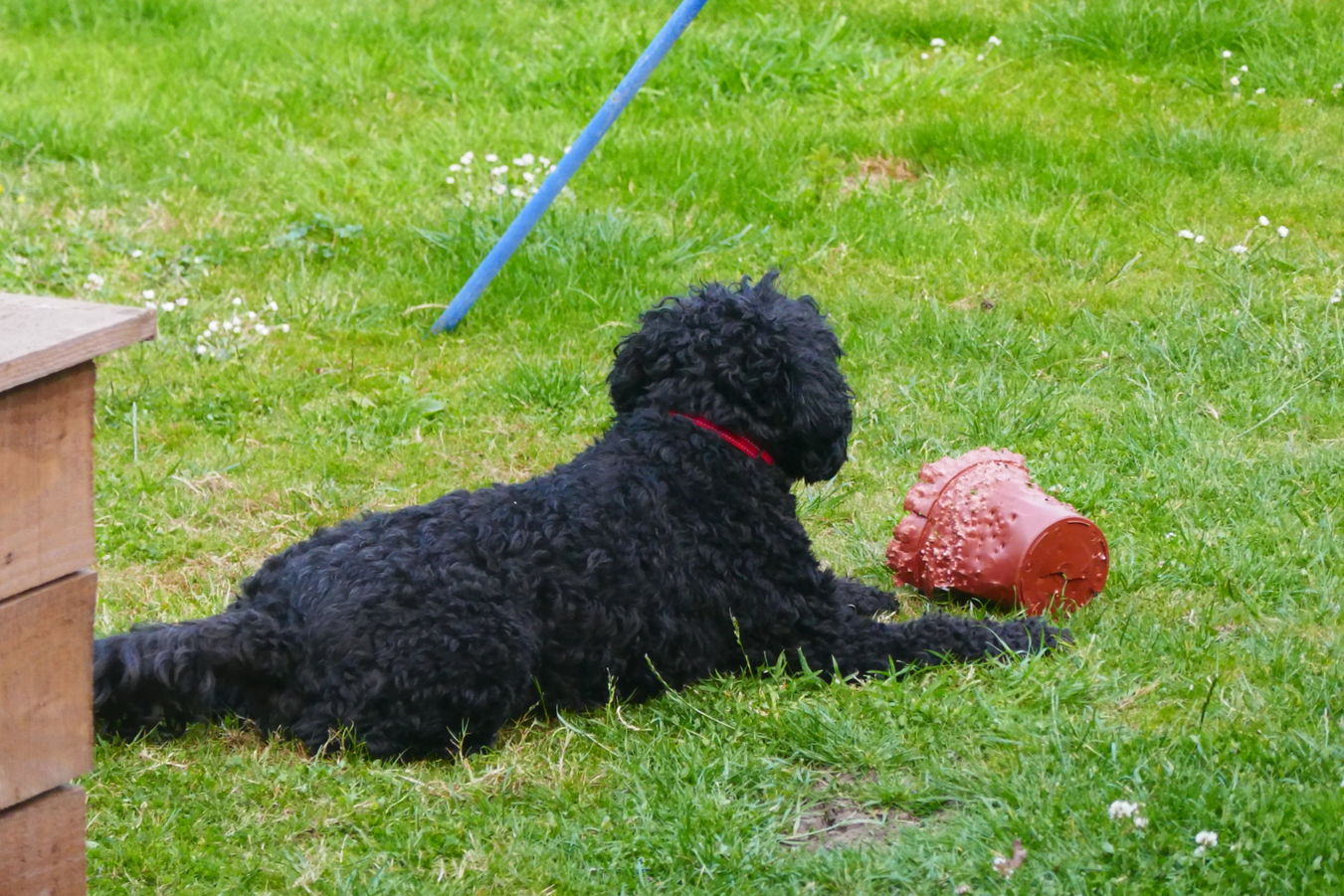 Panasonic Lumix DMC-TZ100, ISO 1600, f/5.9, 1/50 s