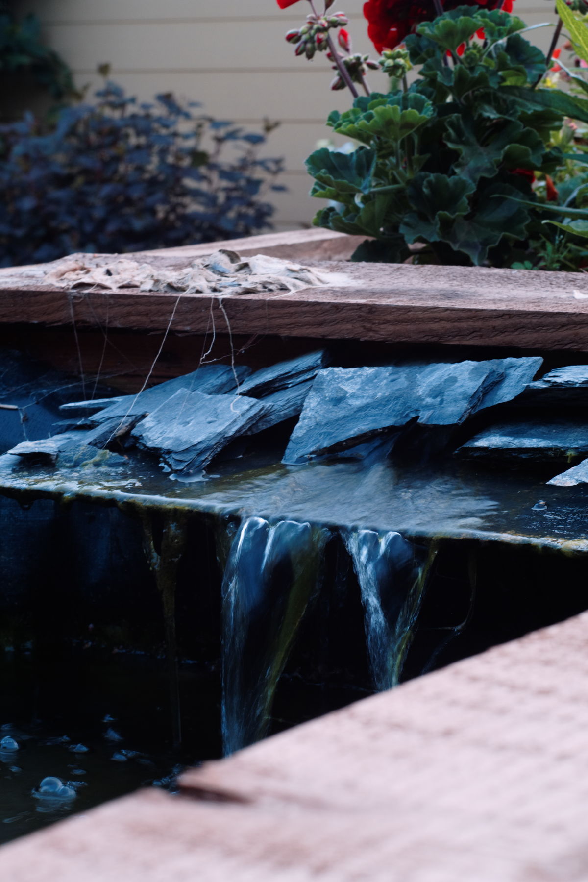 FujiFilm X-T20 + Helios 44-2 f/2.0, ISO 200, f/?, 1/15 s