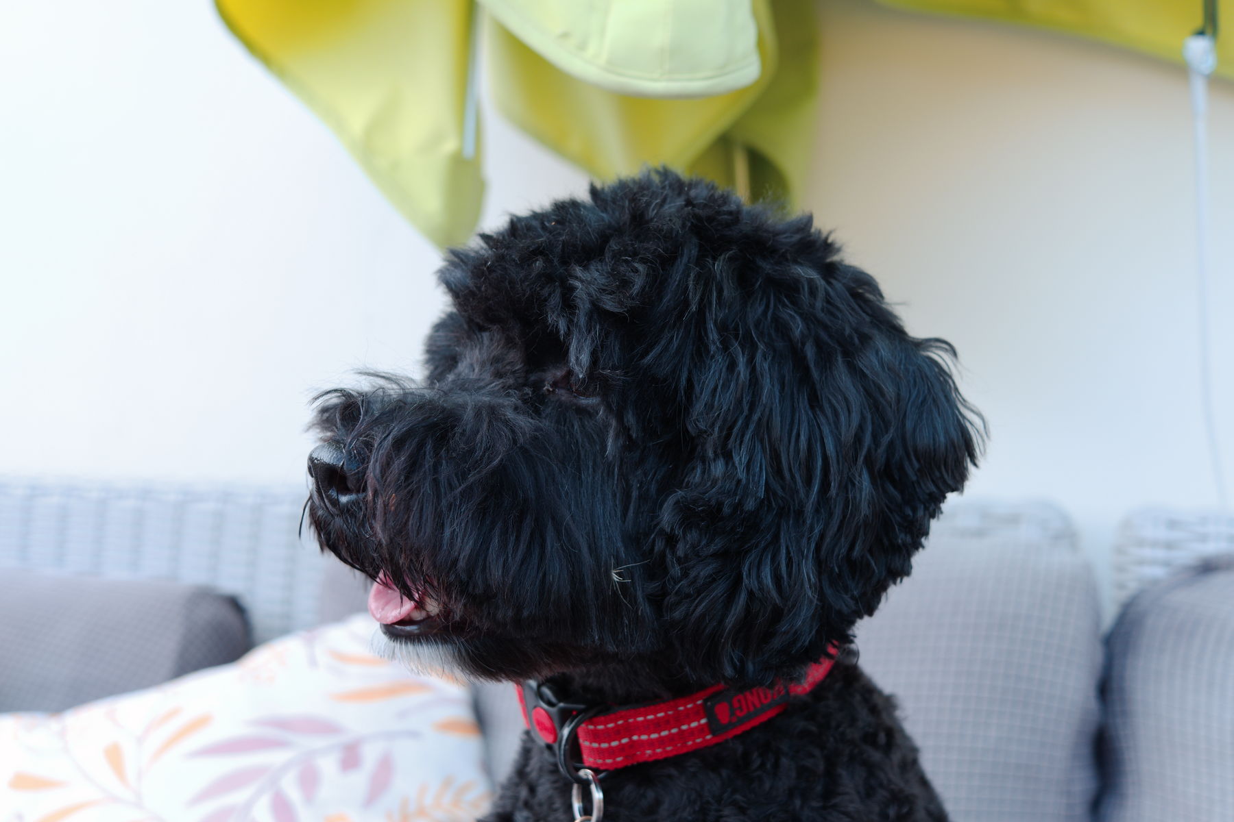 FujiFilm X-T20 + FujiFilm XF 27mm f/2.8, ISO 200, f/4, 1/60 s