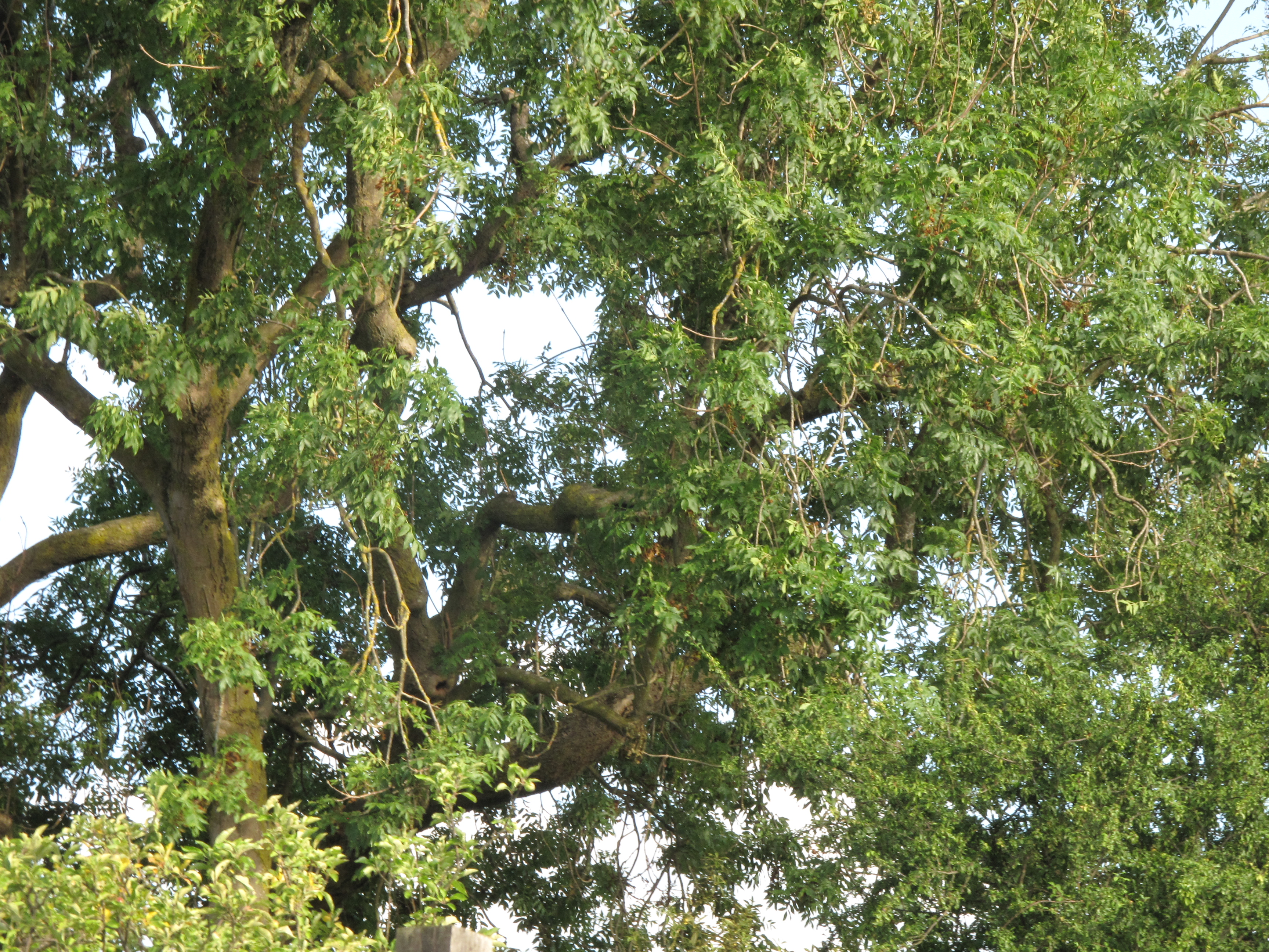 Canon Powershot G10, ISO 200, f/8, 1/13 s