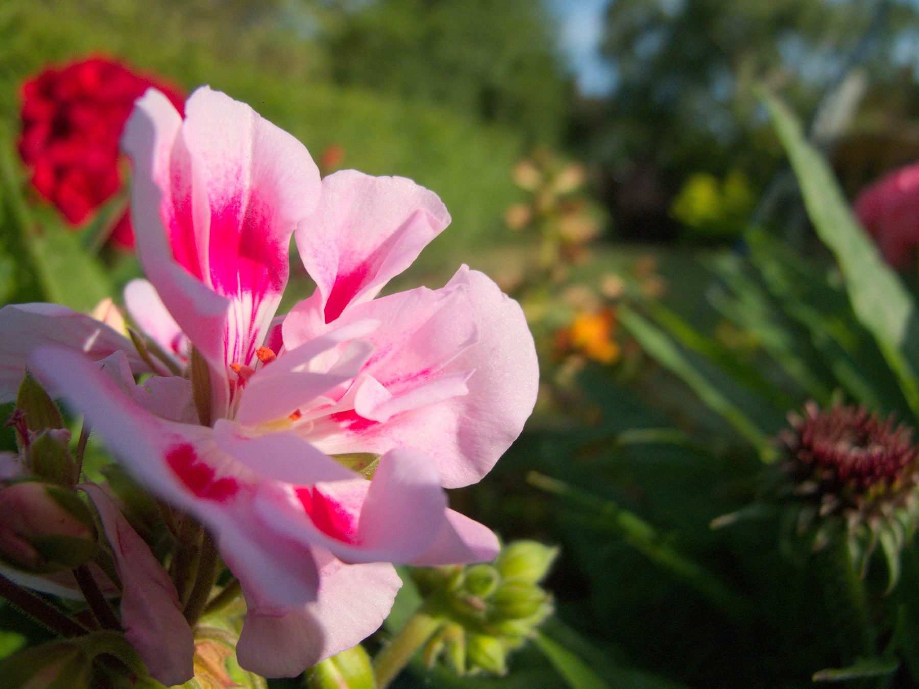 Canon Powershot G10, ISO 116, f/2.8, 1/2049 s