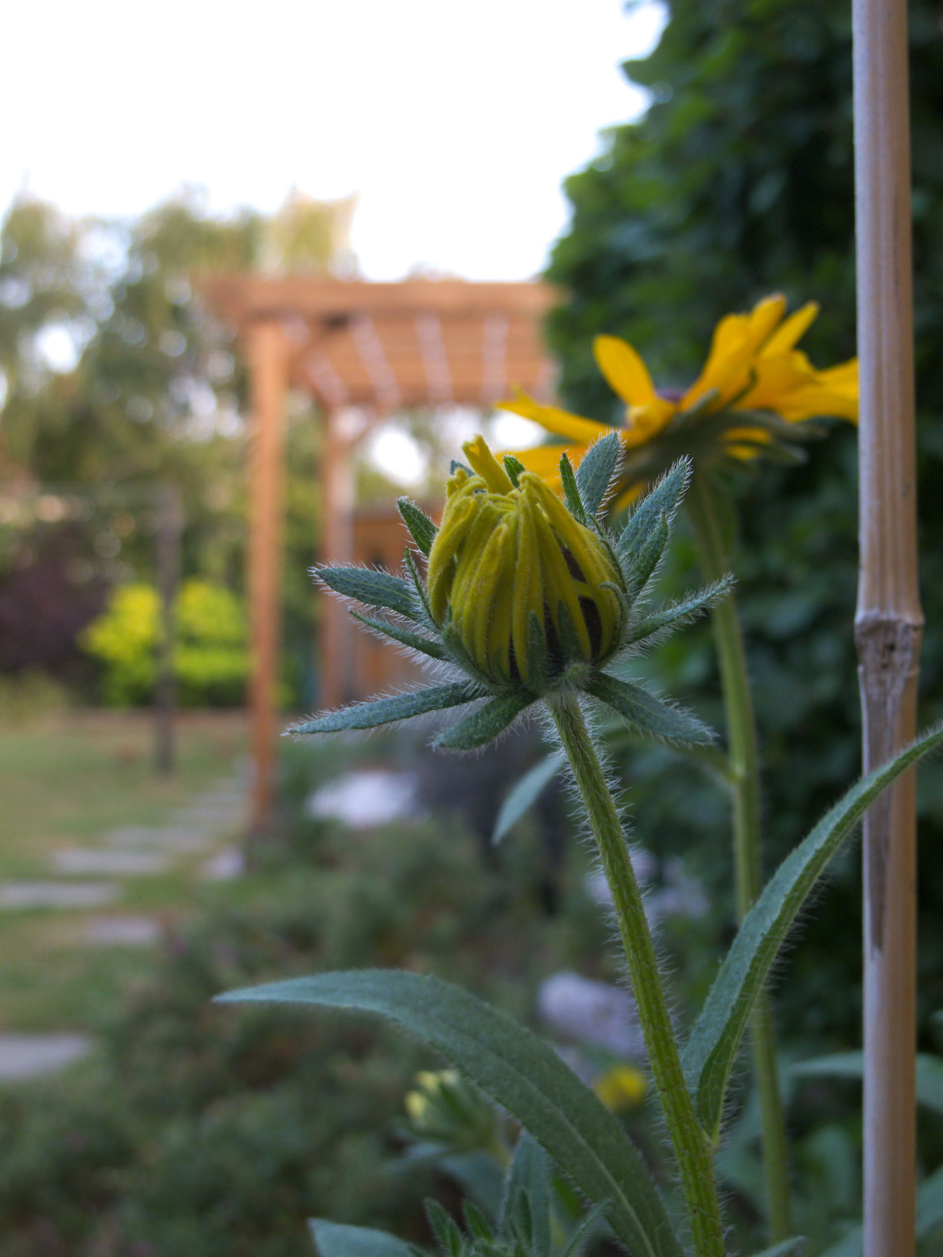 Canon Powershot G10, ISO 80, f/3.1, 1/31 s