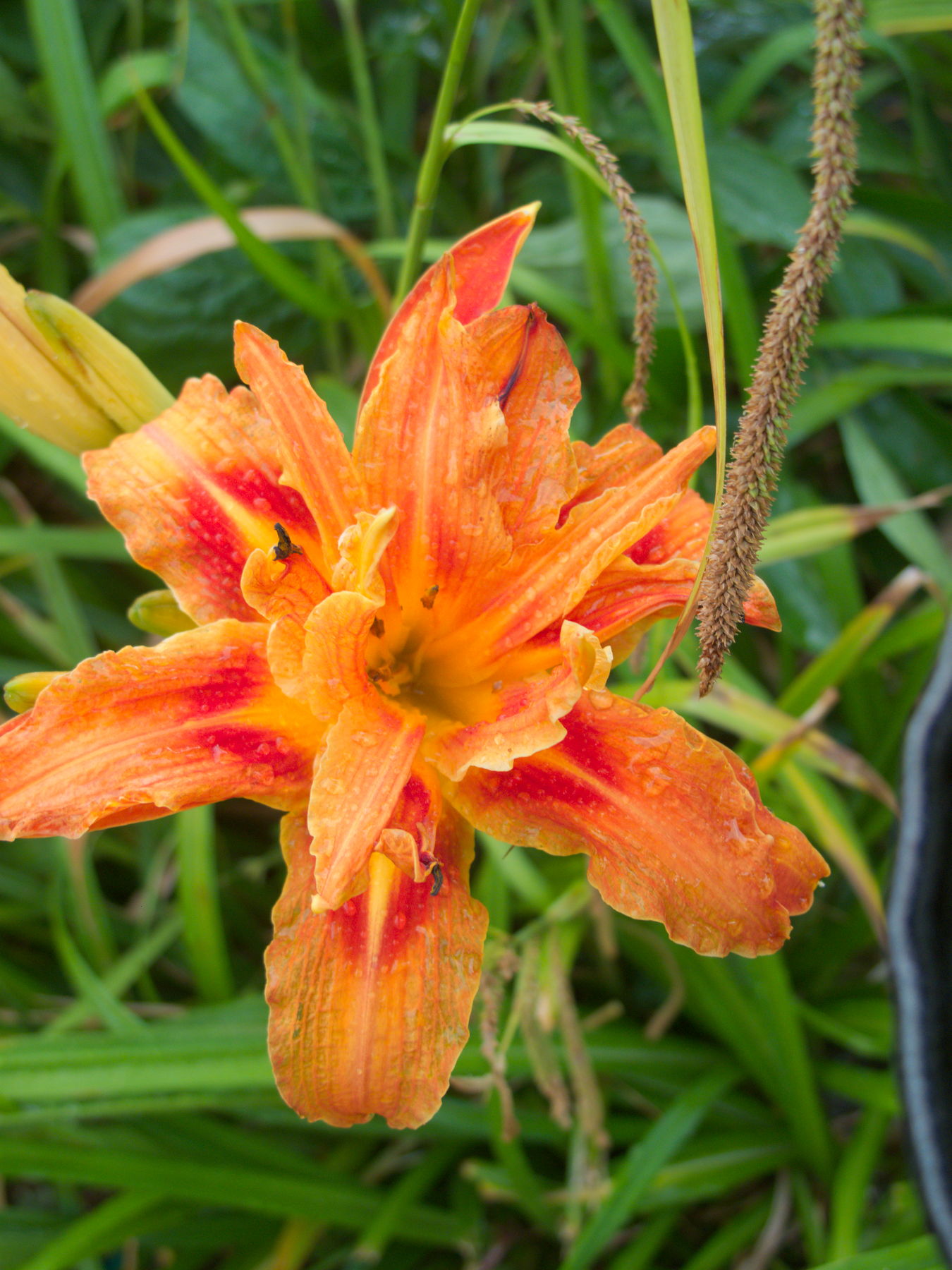 Canon Powershot G10, ISO 80, f/3.1, 1/102 s