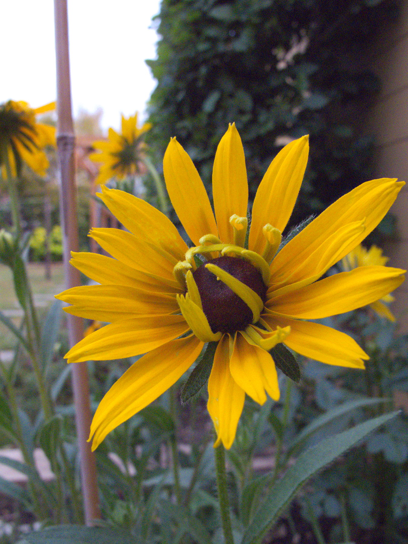 Canon Powershot G10, ISO 80, f/4, 1/159 s