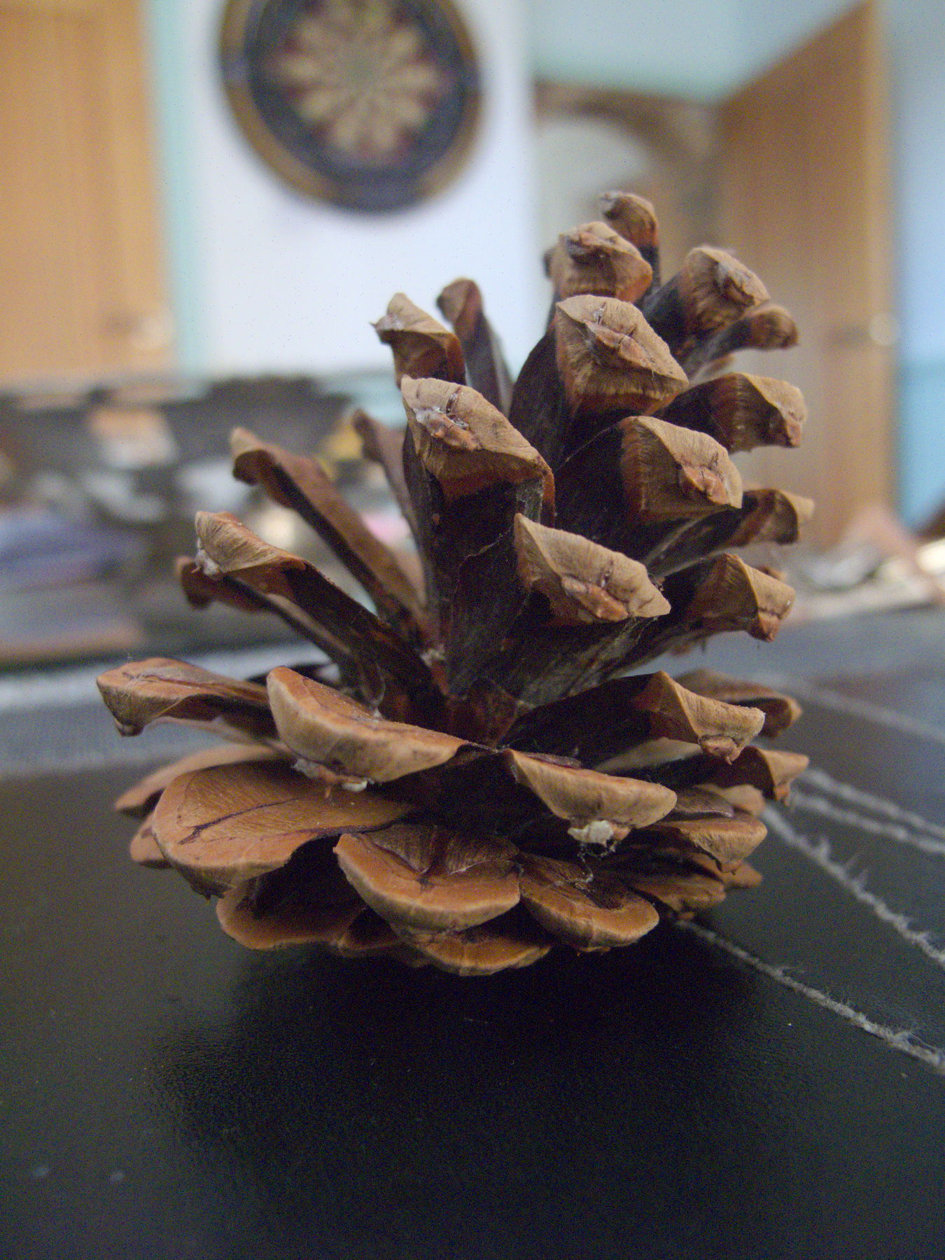 Canon Powershot G10, ISO 400, f/2.8, 1/8 s