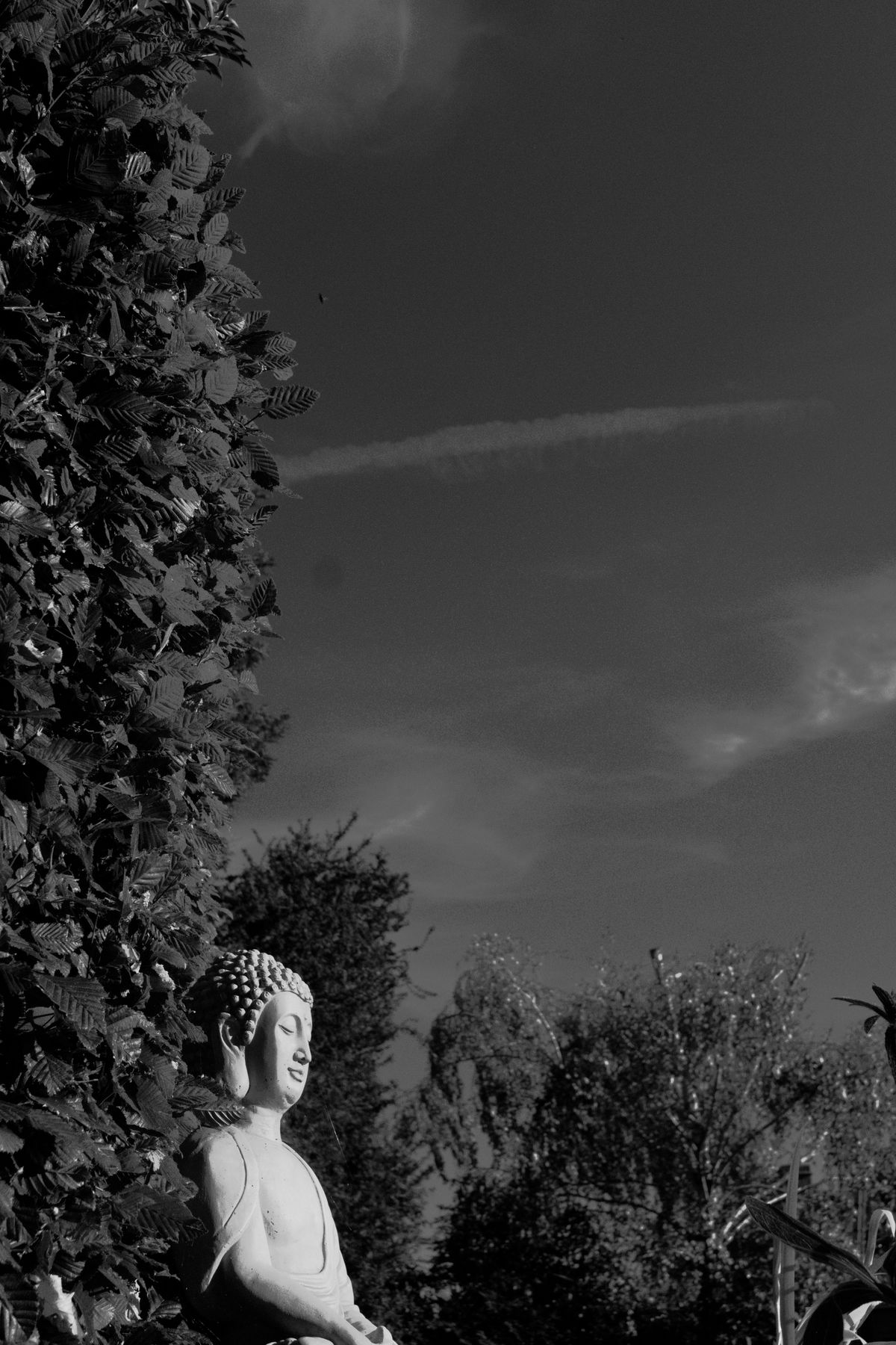 FujiFilm X-T20 + FujiFilm XF 27mm f/2.8, ISO 800, f/8, 1/500 s