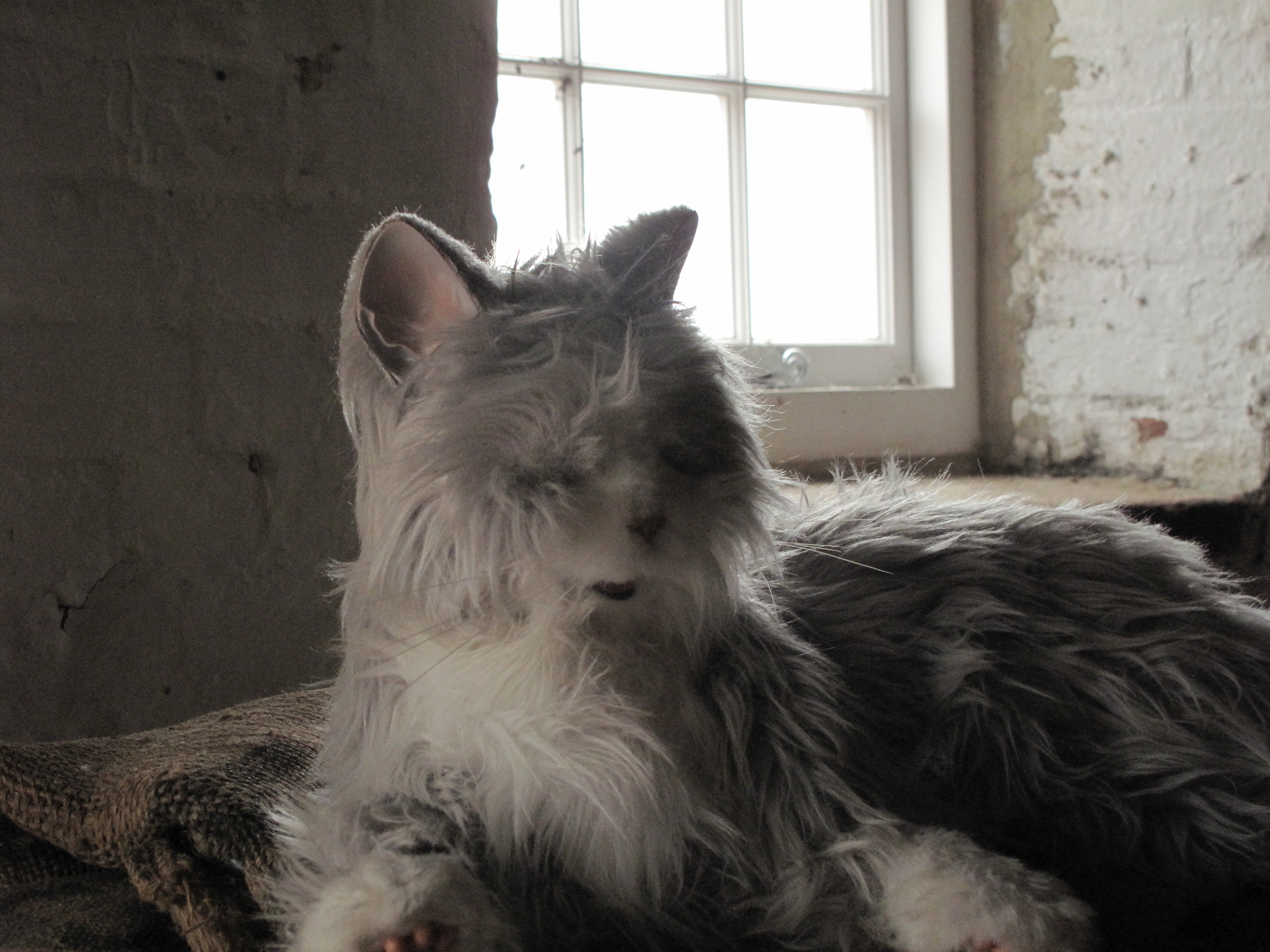 Canon Powershot G10, ISO 400, f/4, 1/400 s