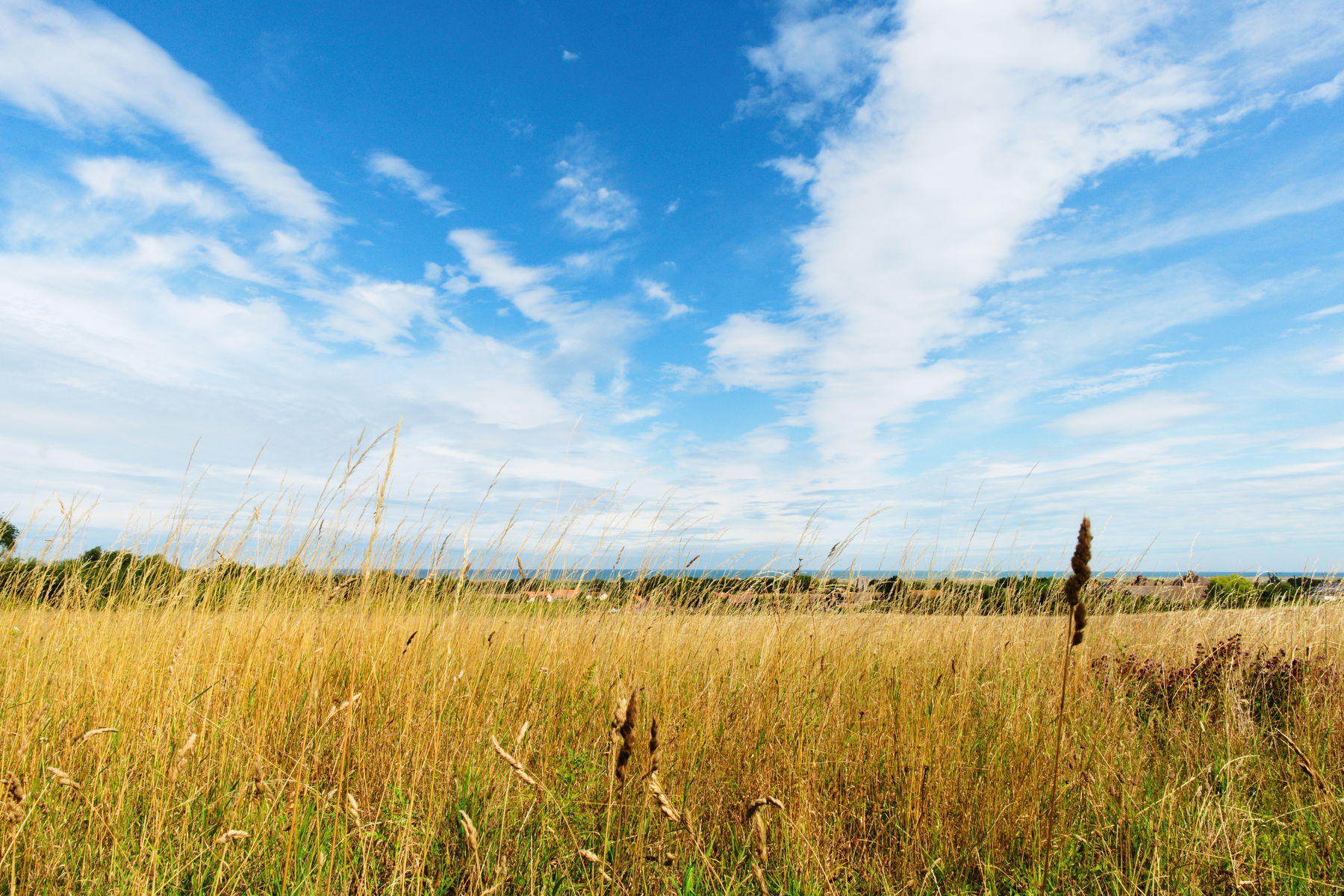 FujiFilm X-T20 + FujiFilm XF 14mm f/2.8, ISO 200, f/16, 1/250 s