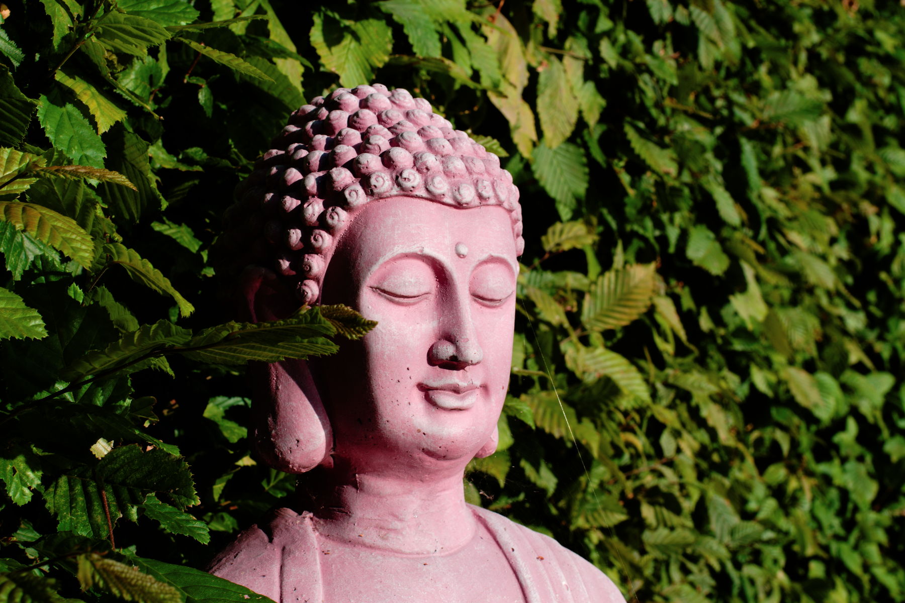 FujiFilm X-T20 + Konica Hexanon AR 40mm f/1.8, ISO 200, f/11, 1/180 s