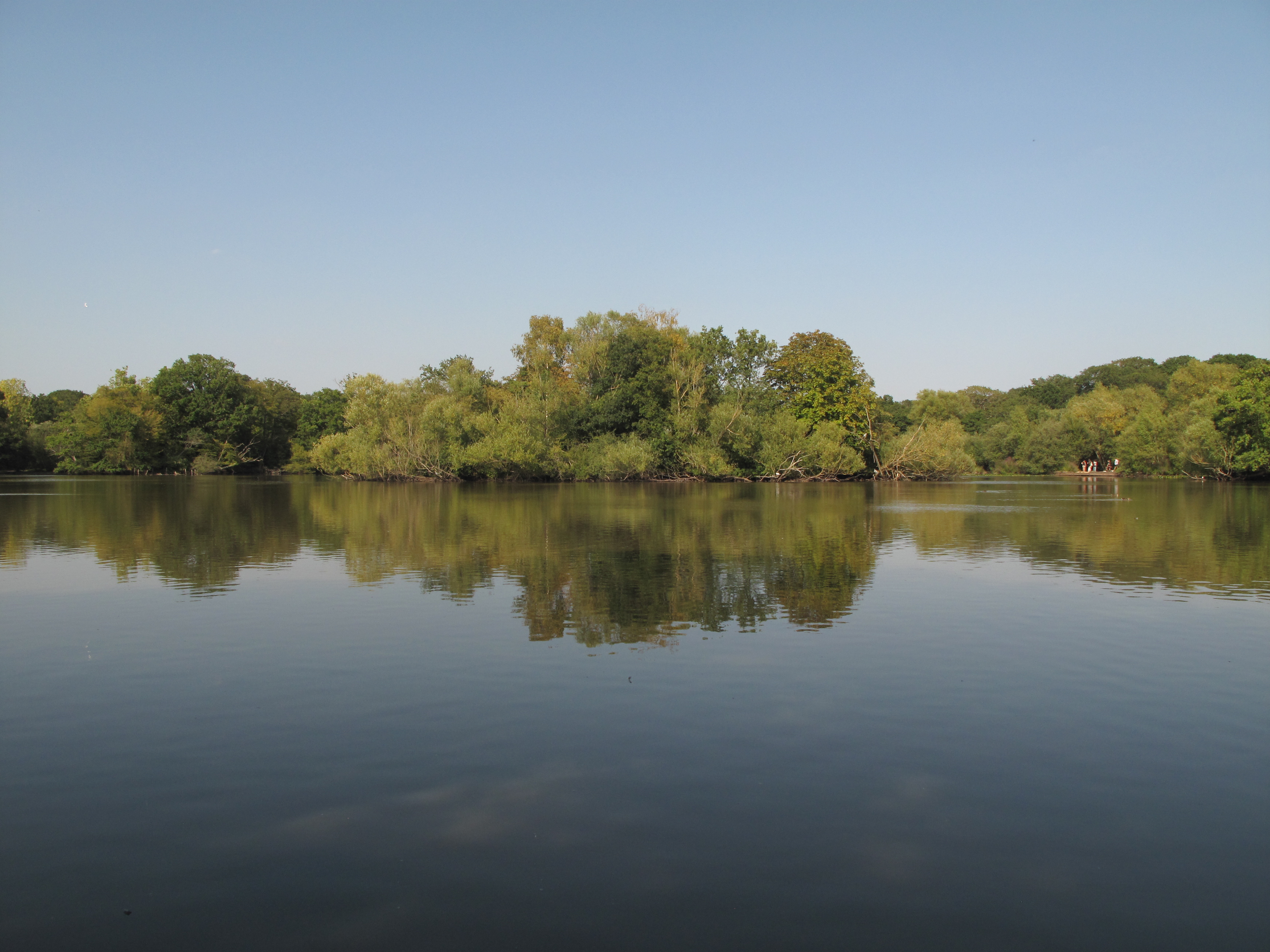 Canon Powershot G10, ISO 100, f/4, 1/800 s