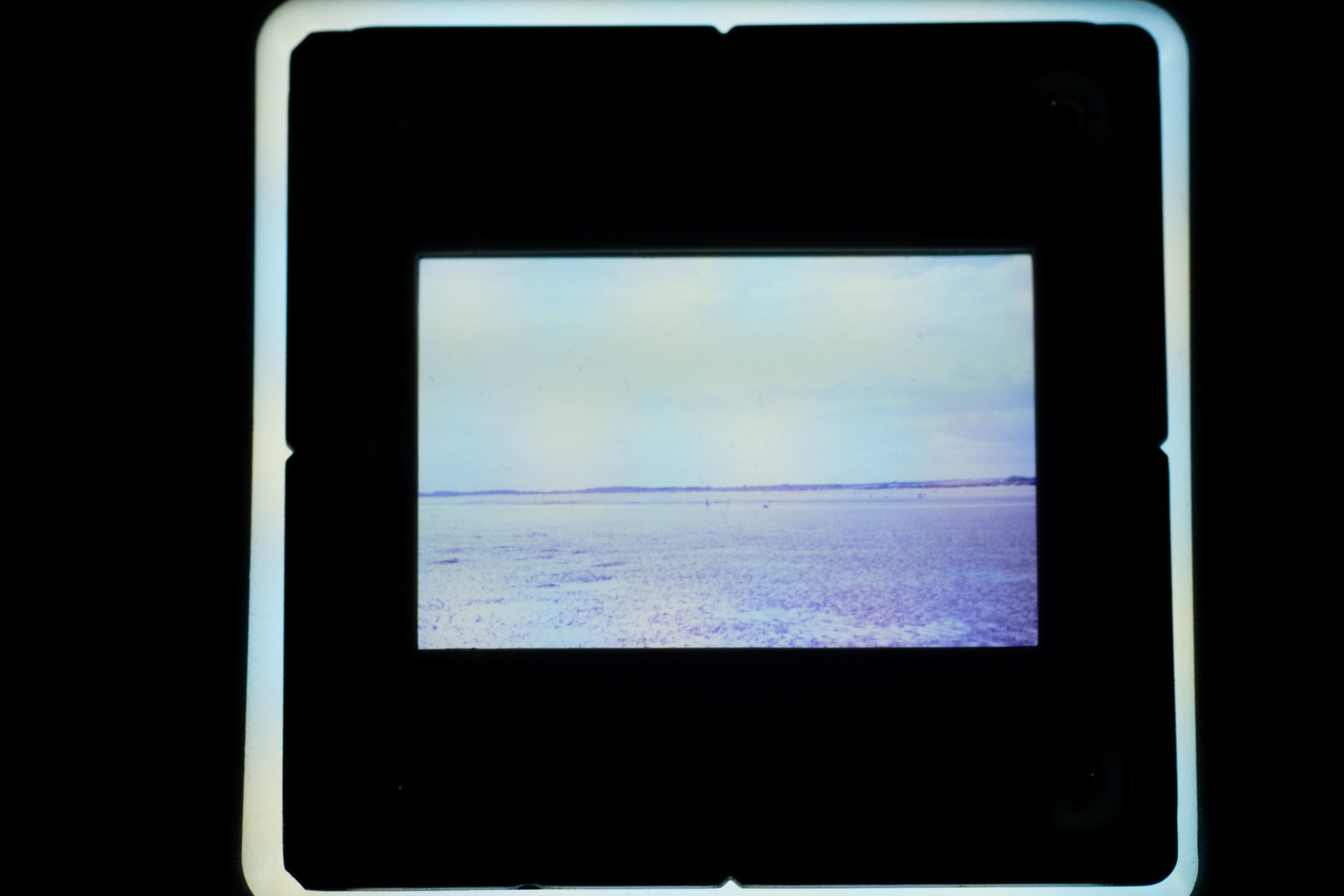 FujiFilm X-T20 + Tamron 90mm f/2.5 SP, ISO 400, f/8, 1/125 s