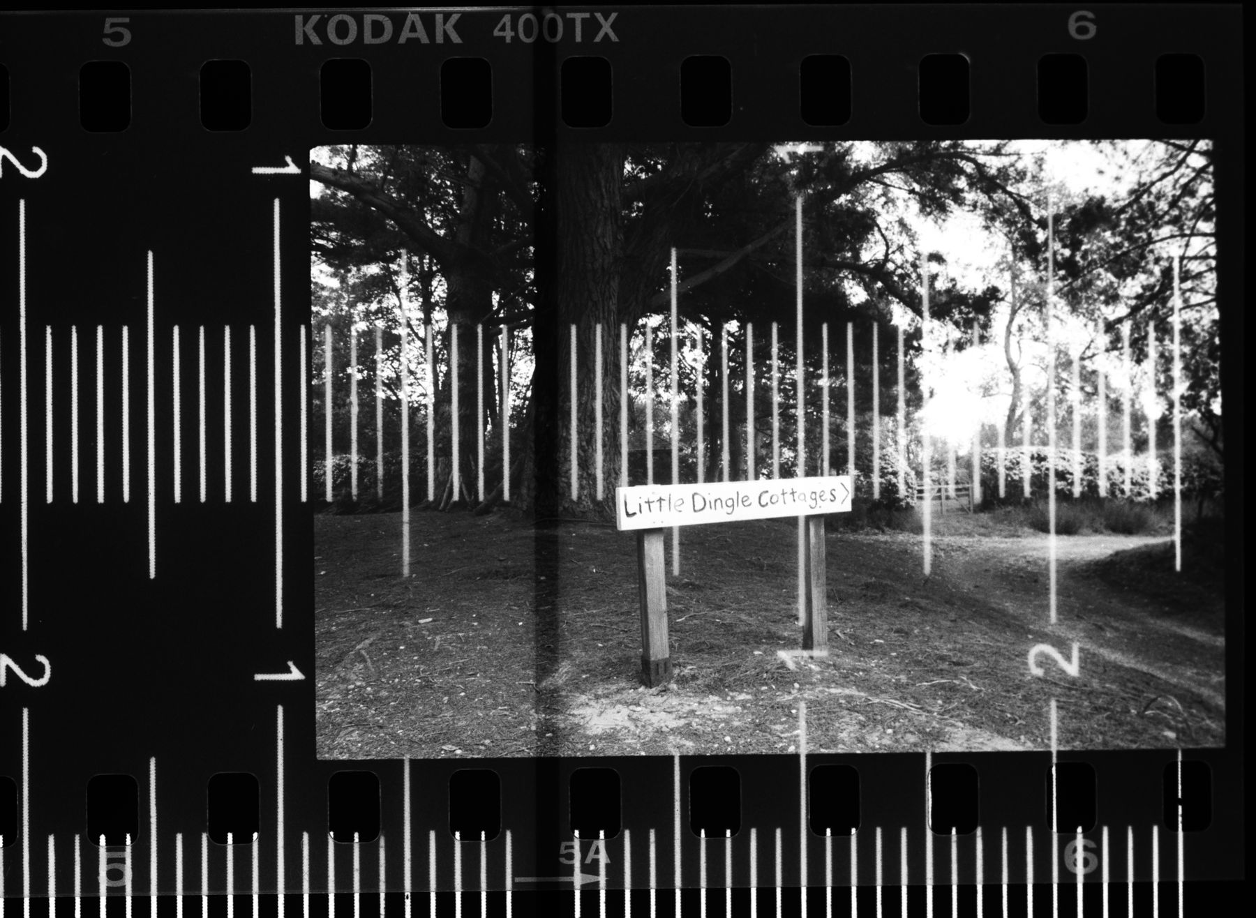 FujiFilm X-T20 + Tamron 90mm f/2.5 SP, ISO 400, f/8, 1/125 s