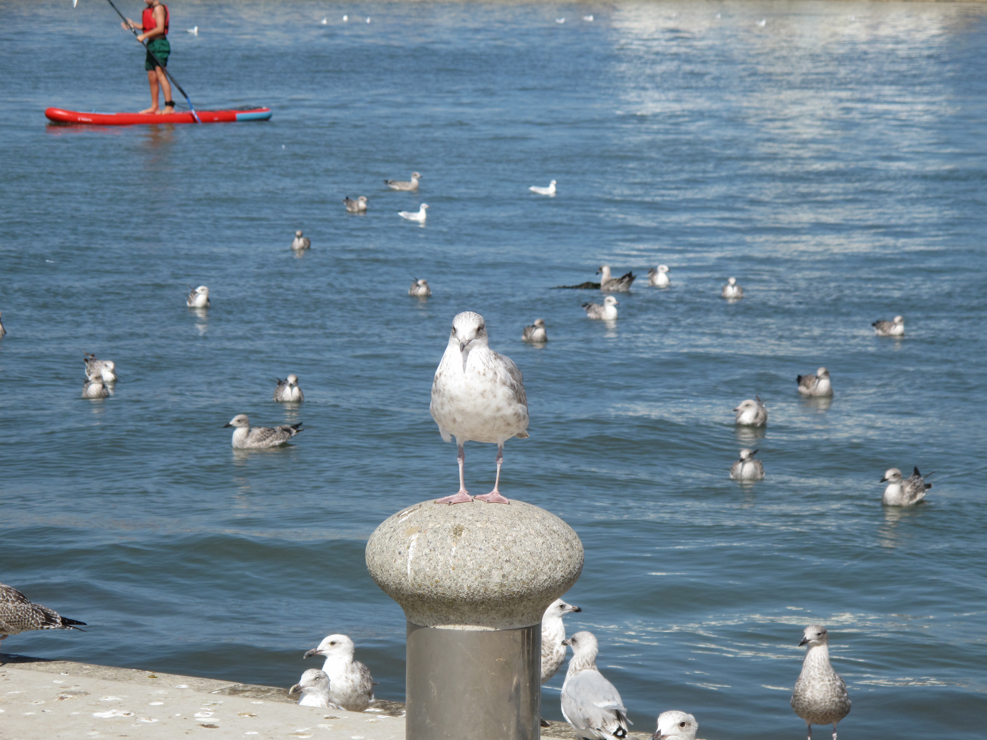 Canon Powershot G10, ISO 80, f/4.5, 1/640 s