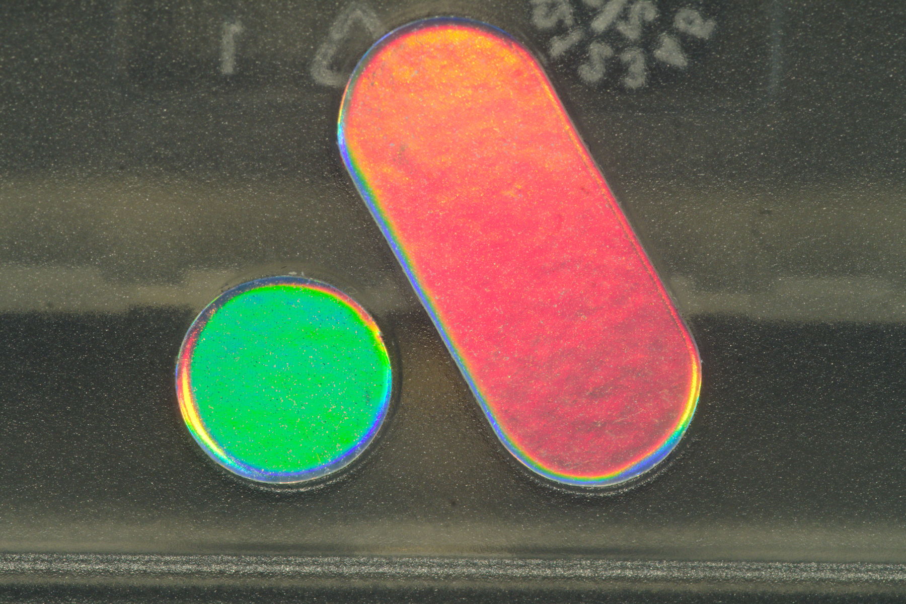 FujiFilm X-T20 + Tamron 90mm f/2.8 SP + Tamron 2x Teleconvertor