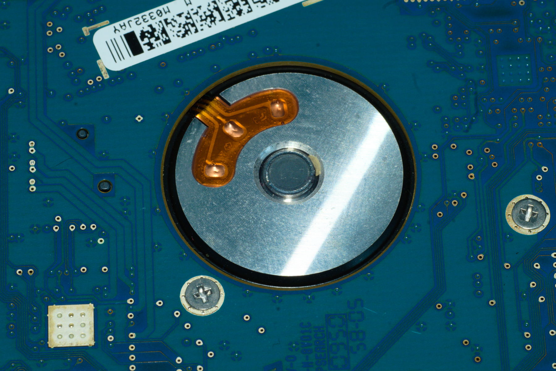 FujiFilm X-T20 + Tamron 90mm f/2.5 SP