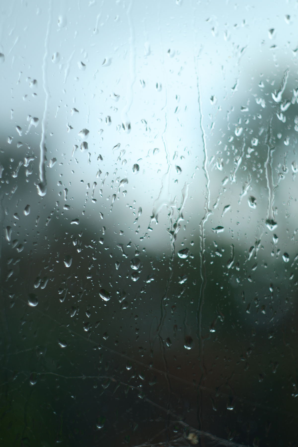 FujiFilm X-T20 + Helios 44/2