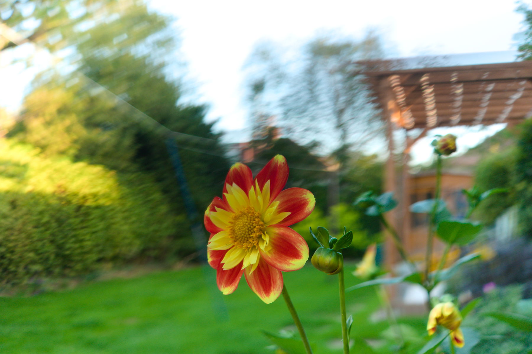 FujiFilm X-T20 + FujiFilm XF 27mm f/2.8 + Electrip tape filter