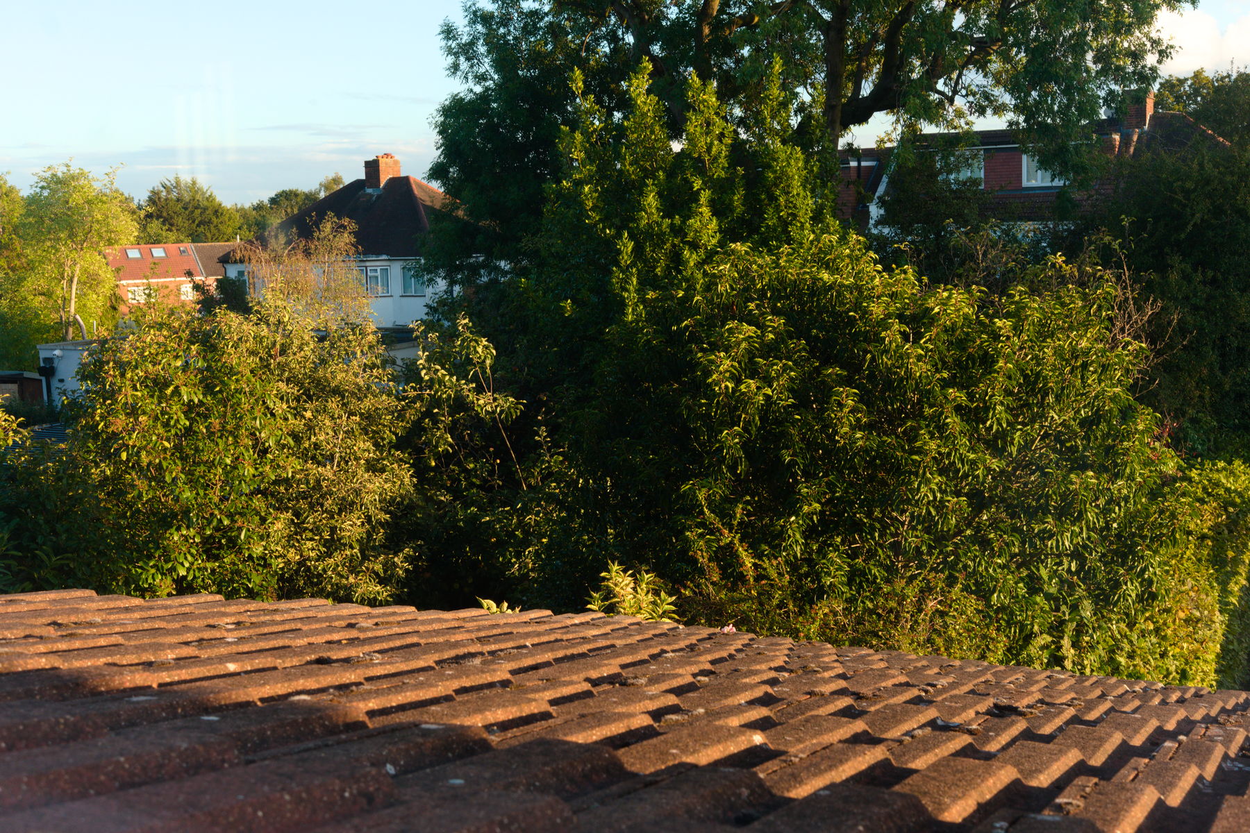 FujiFilm X-T20 + FujiFilm XF 27mm f/2.8