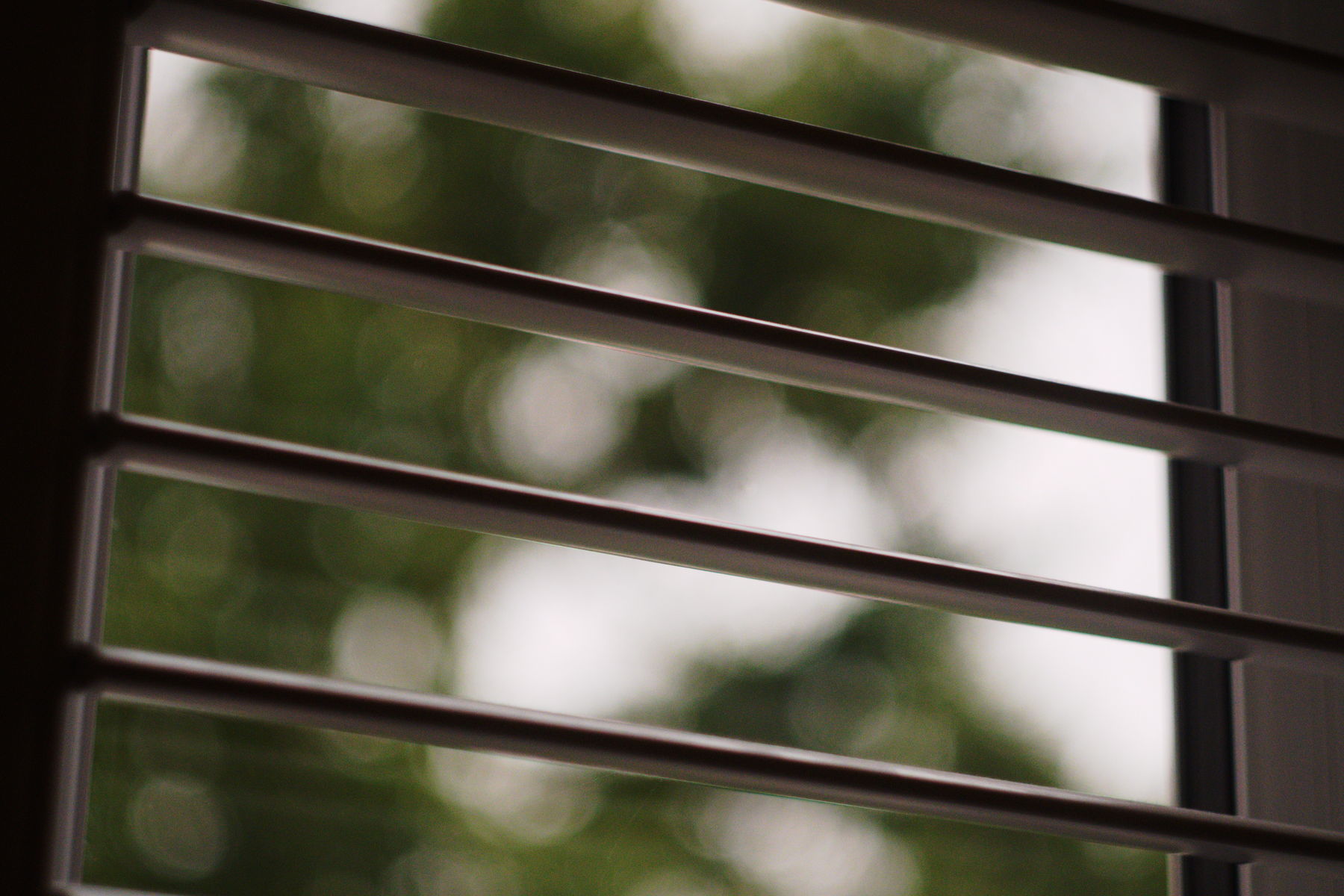 FujiFilm X-T20 + Helios 44/2