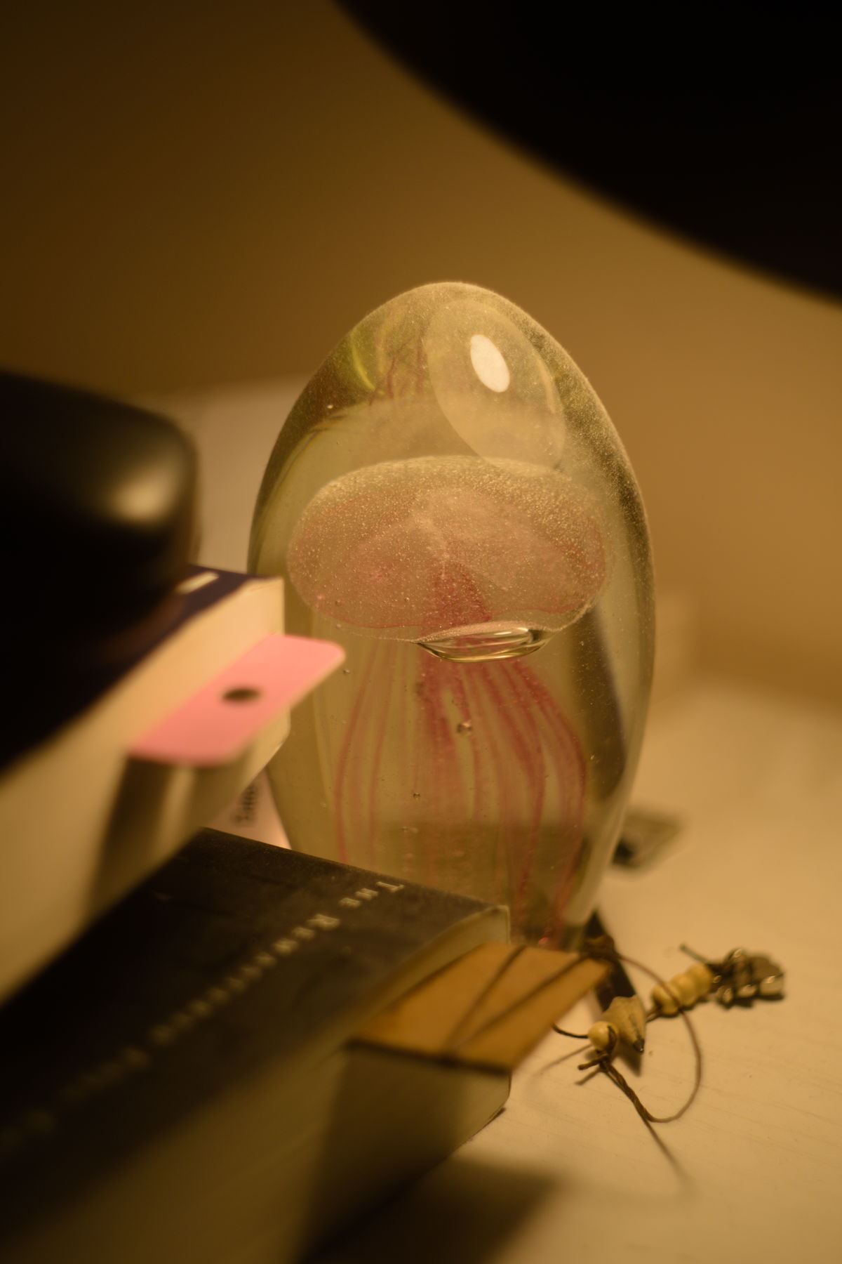 FujiFilm X-T20 + Helios 44/2 (I think)