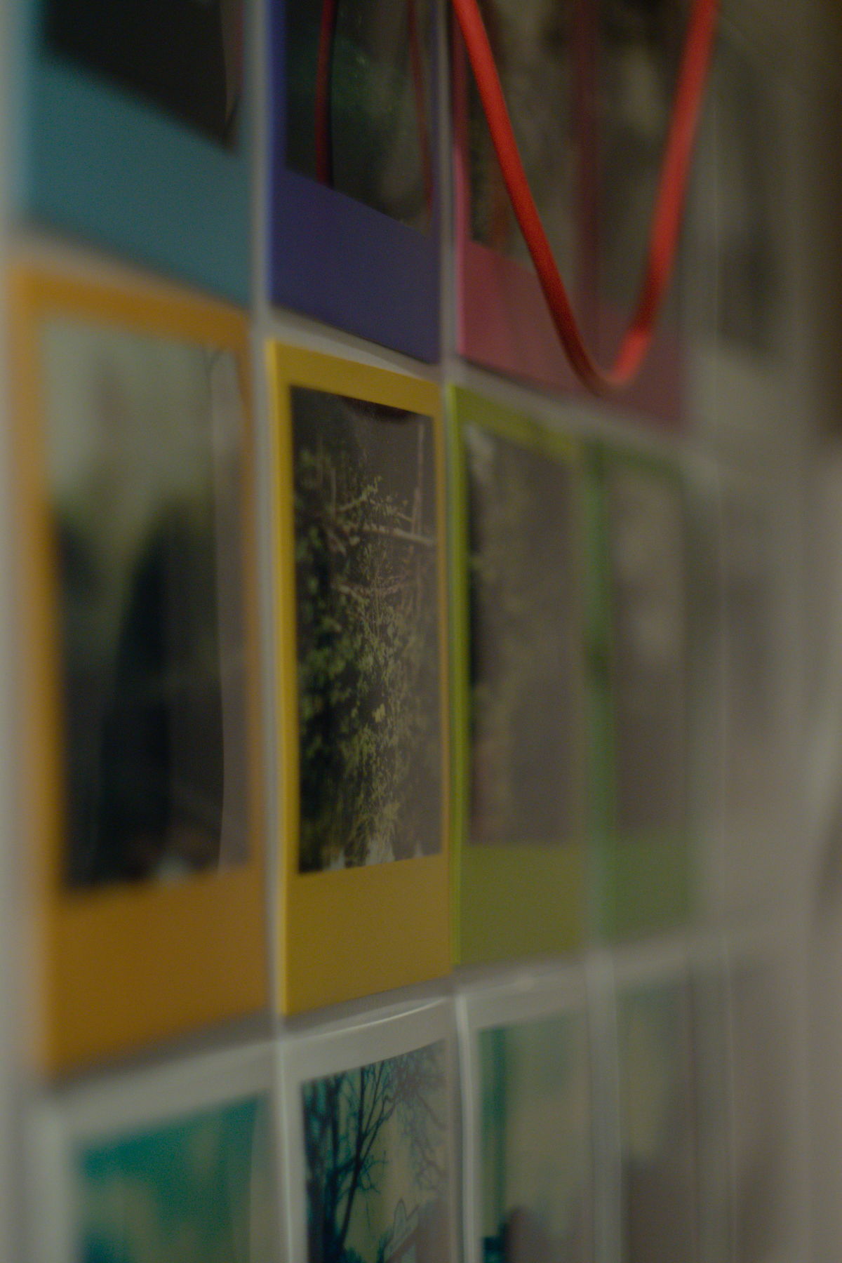 FujiFilm X-T20 + Helios 44/2 (I think)