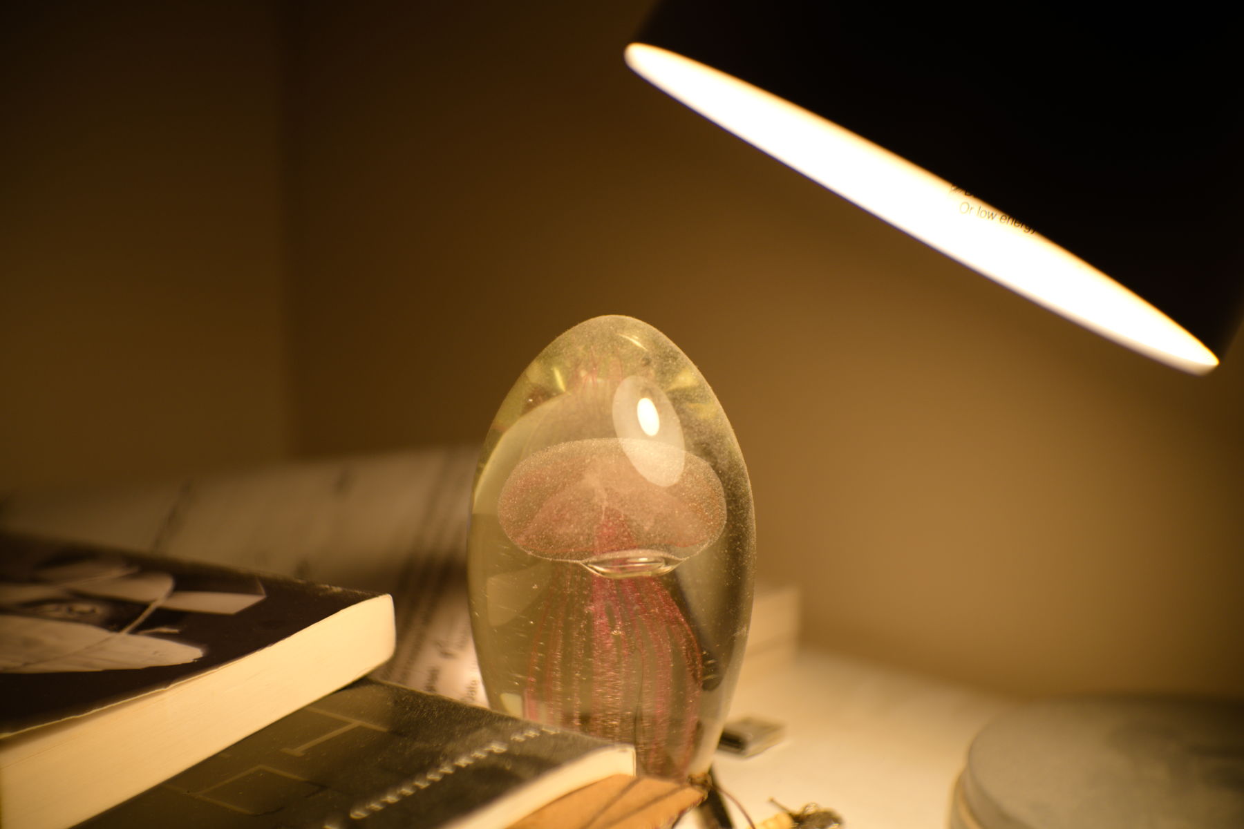 FujiFilm X-T20 + Fujinan CCTV GDS-35/1.7