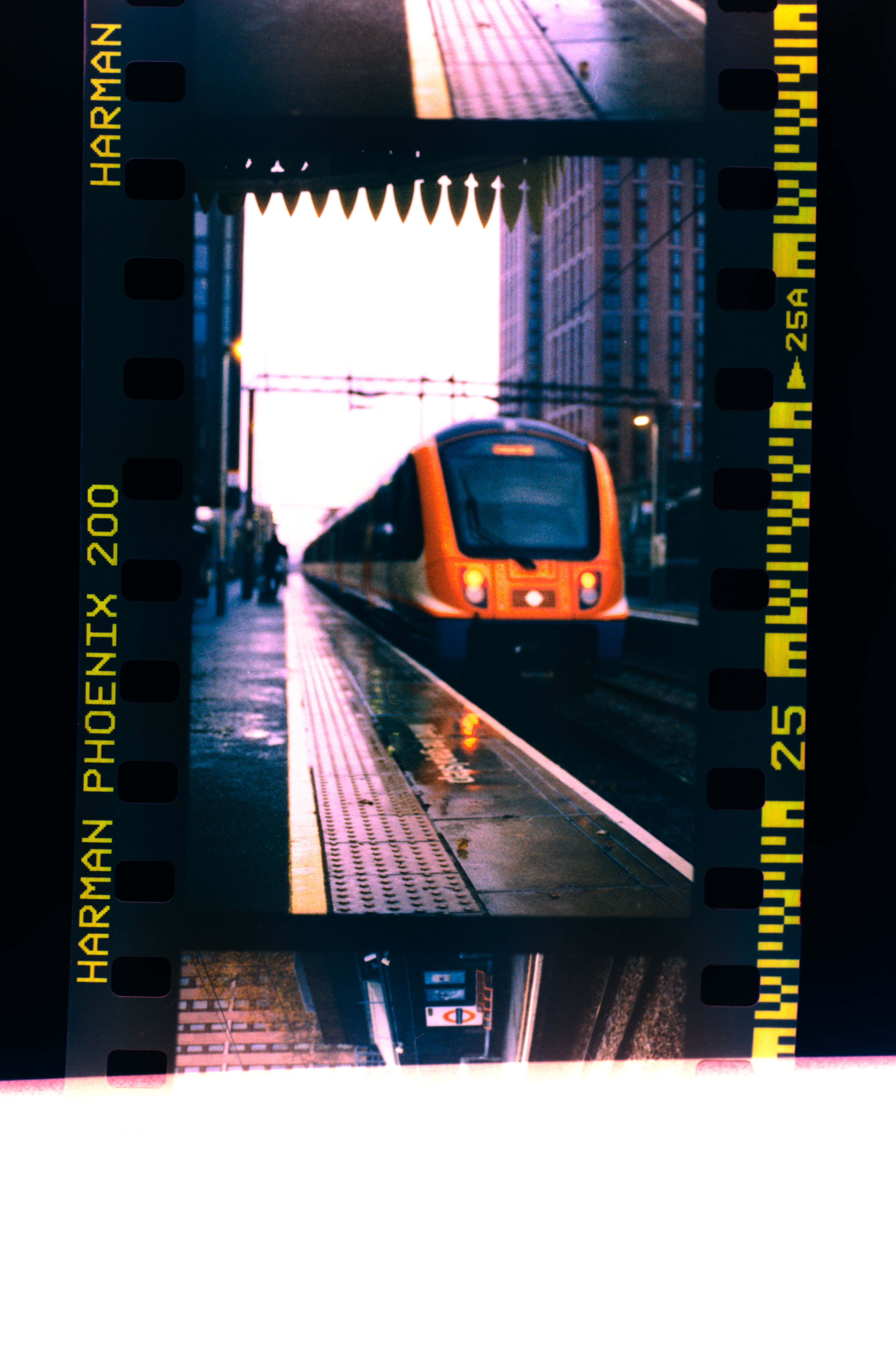 FujiFilm X-T20 + Tamron SP 90mm f/2.5