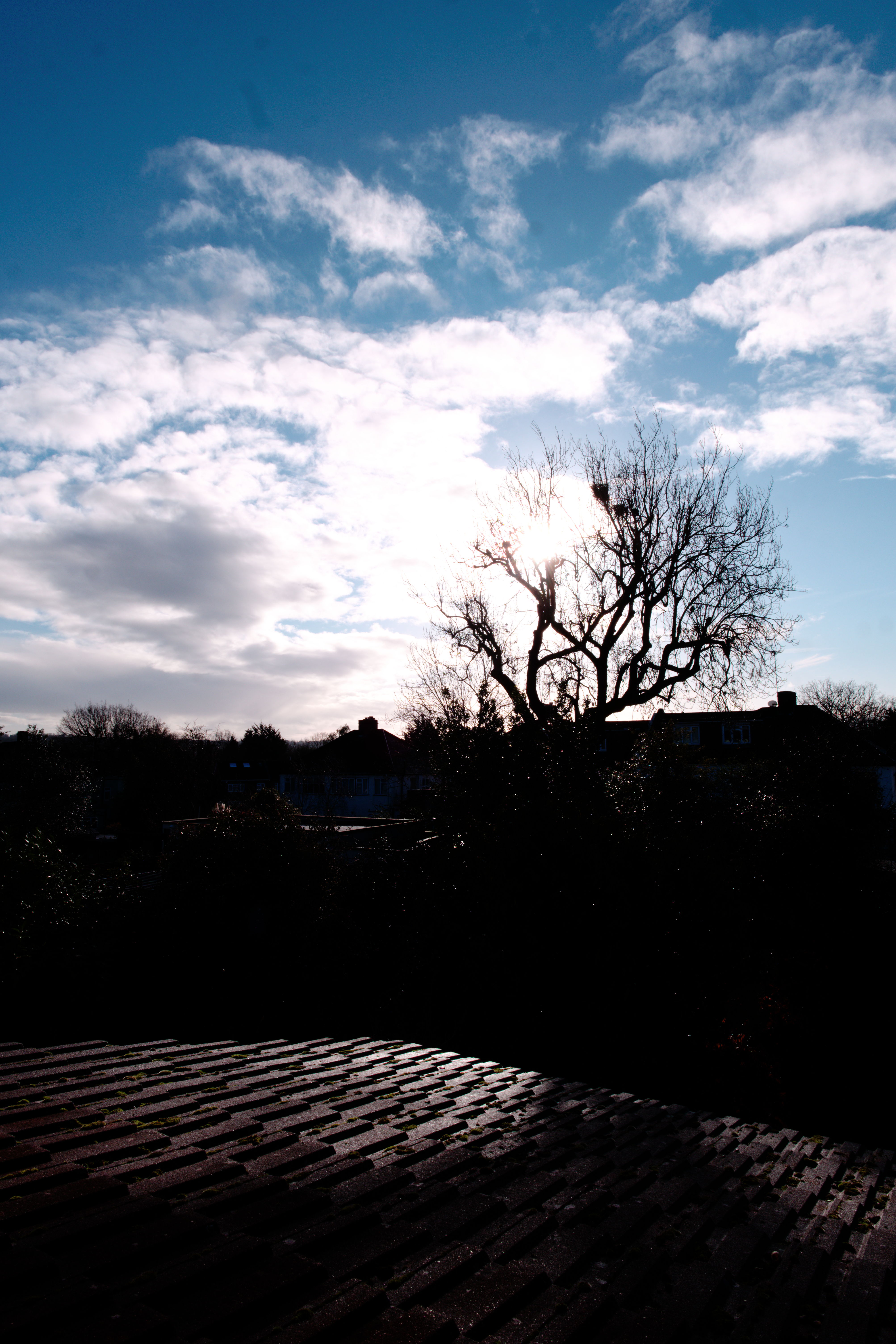 FujiFilm X-T20 + FujiFilm XF 14mm f/2.8