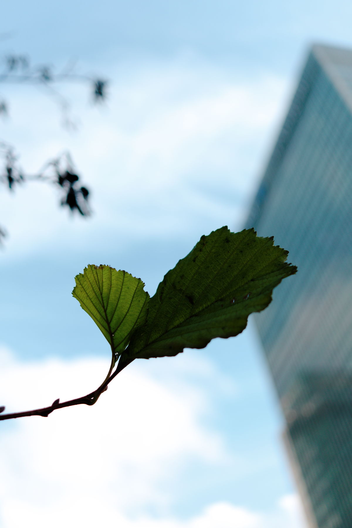 FujiFilm X-T20 + FujiFilm XF 27mm f/2.8
