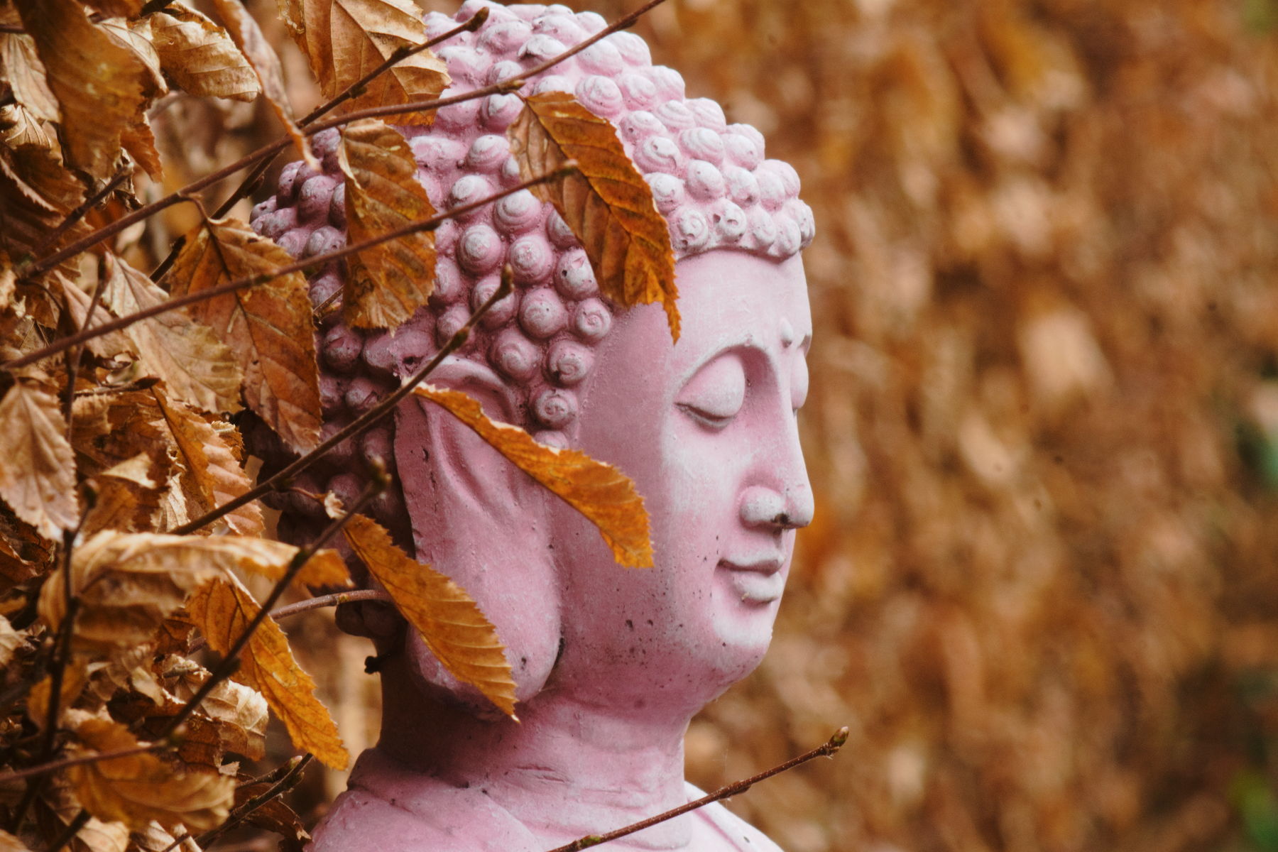 FujiFilm X-T20 + Tair 3 PhS