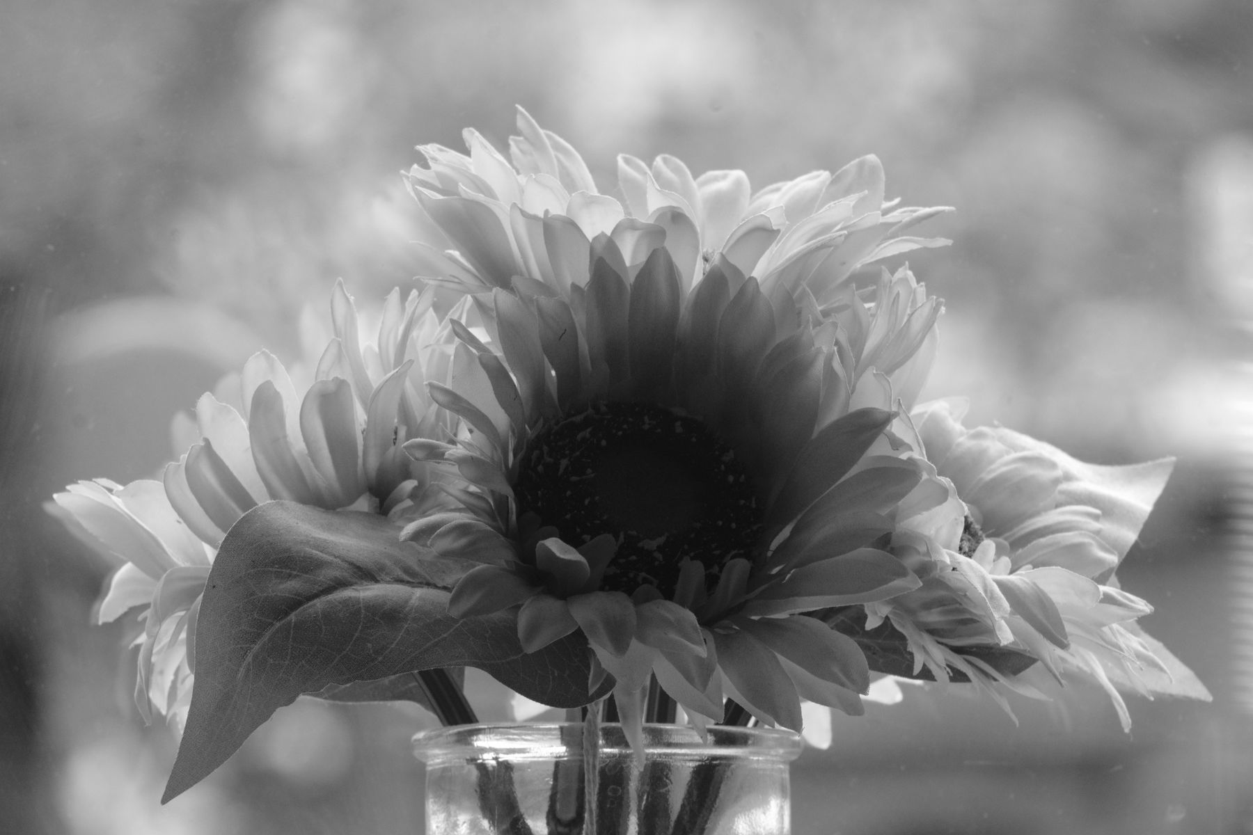 FujiFilm X-T20 + Tair 3 Phs