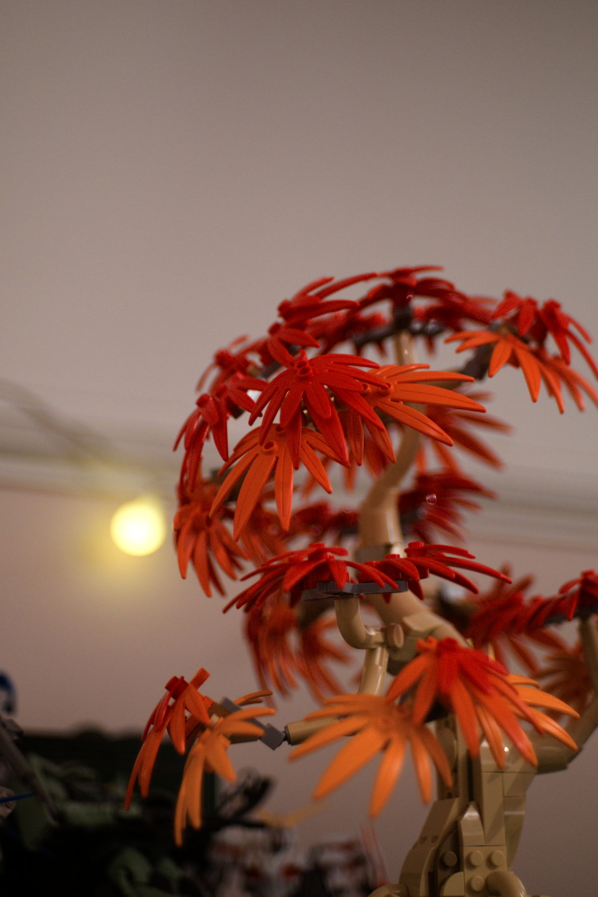 FujiFilm X-T20 + Konica Hexanon AR 40mm f/1.8