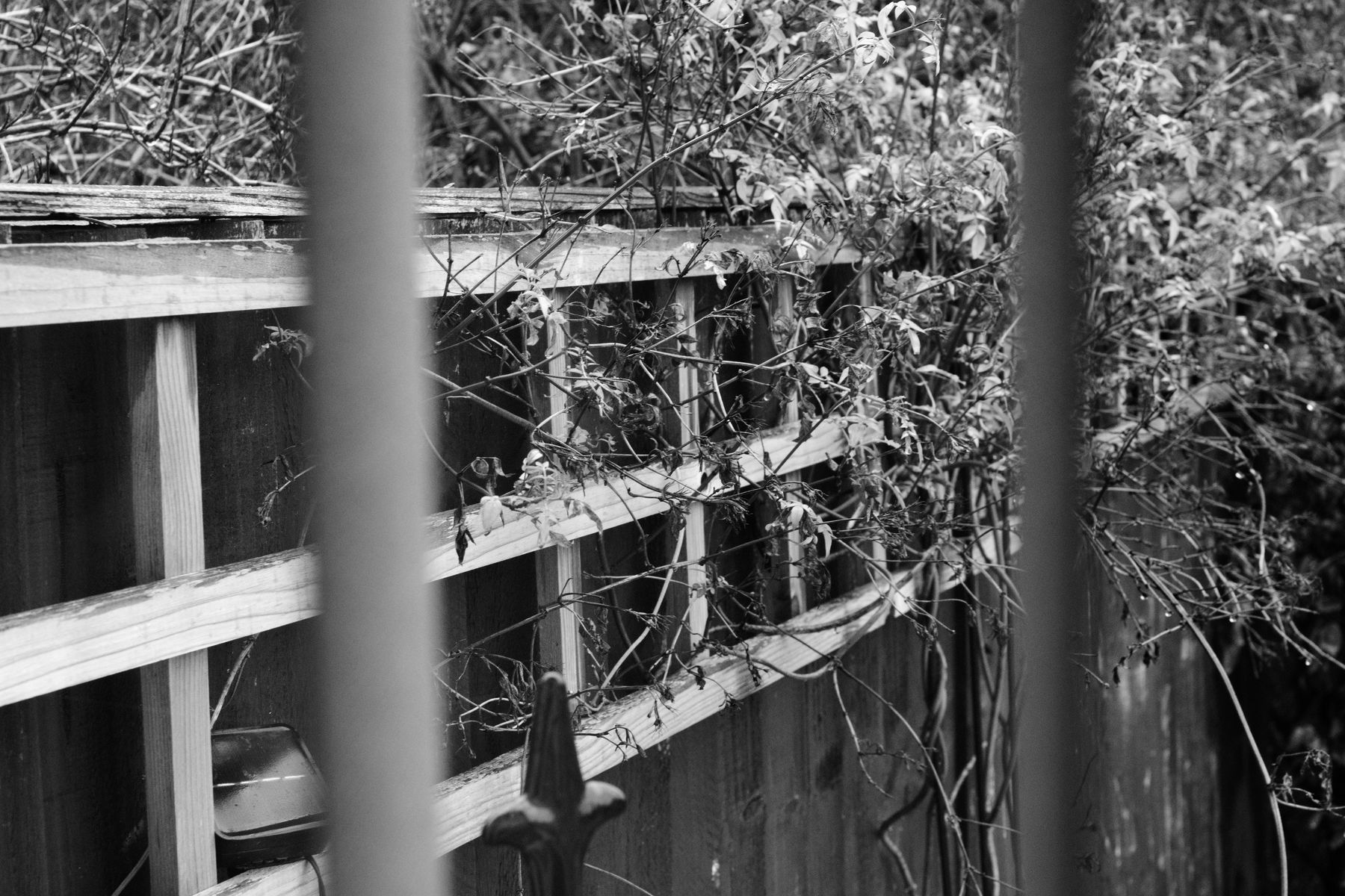 FujiFilm X-T20 + Konica Hexanon AR 40mm f/1.8