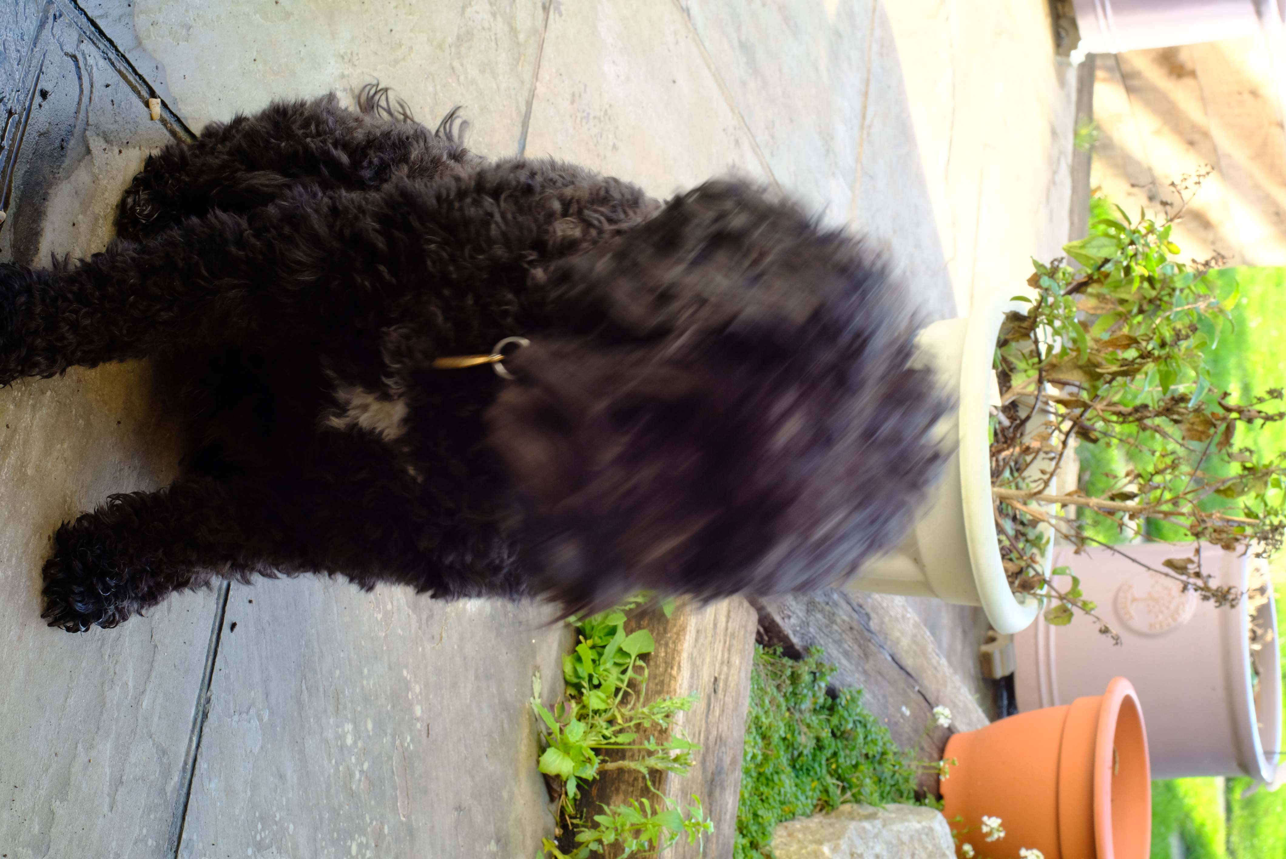 FujiFilm X-T20 + Konica Hexanon AR 40mm f/1.8