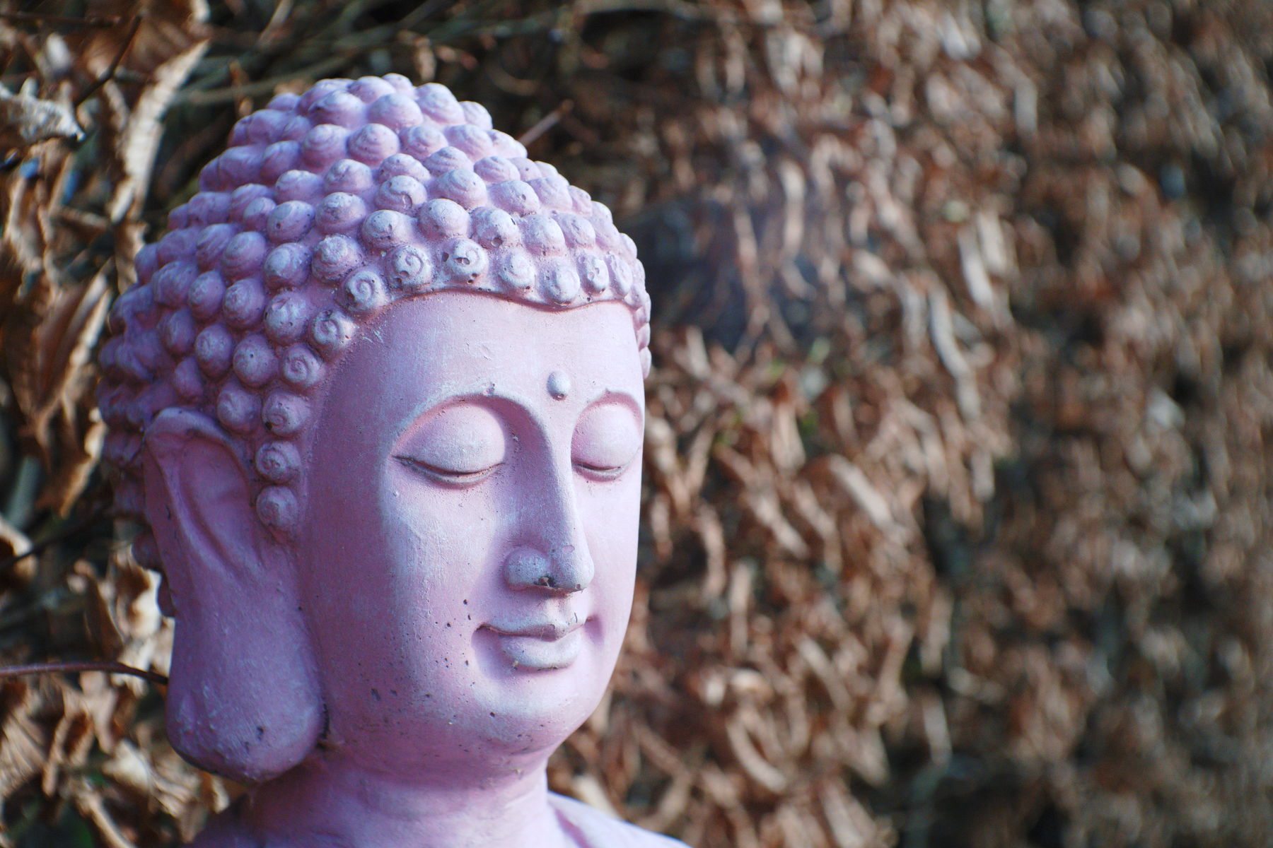 FujiFilm X-T20 + Fujinan CCTV GDS-32/1.7