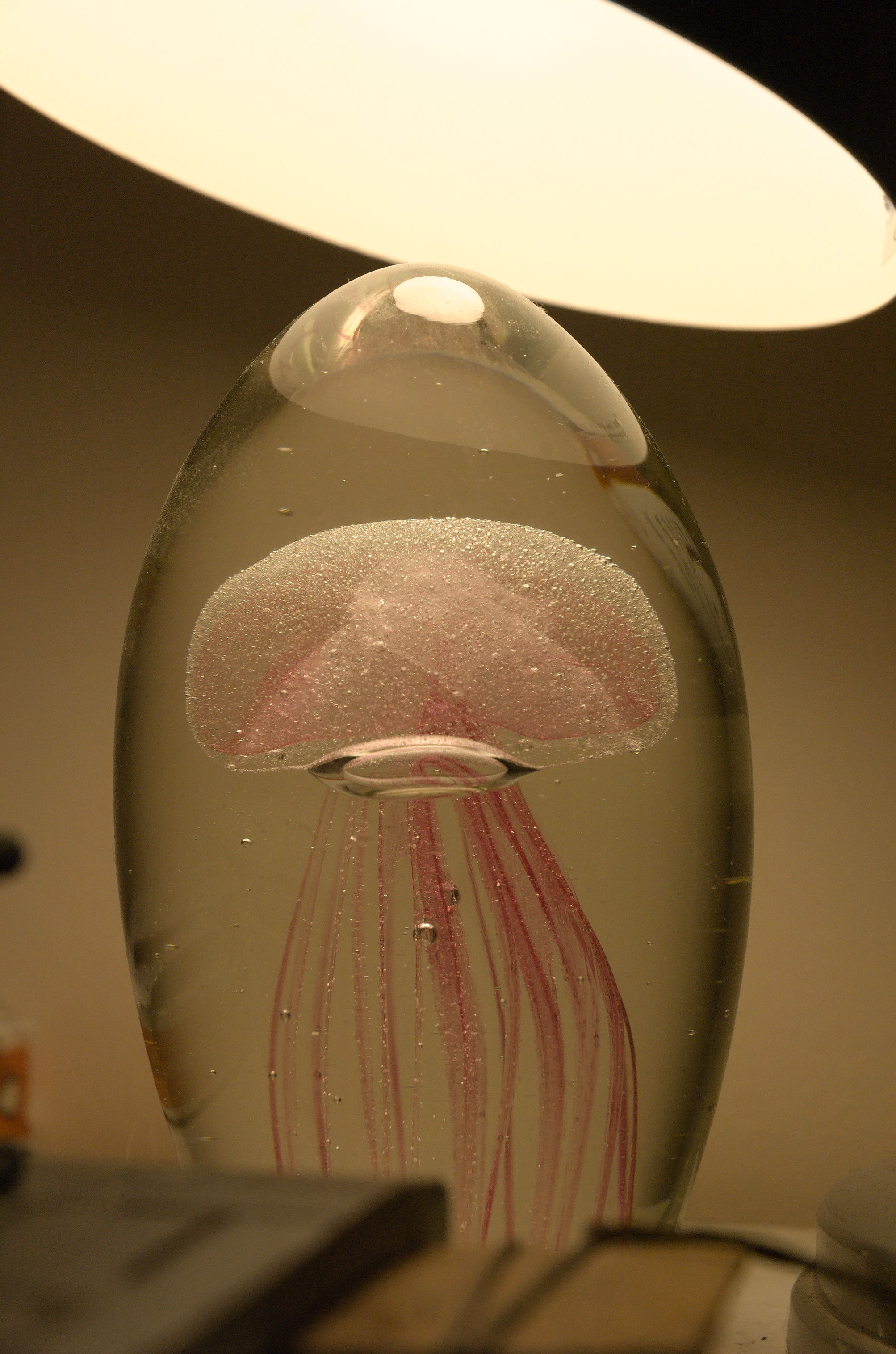 Nikon D70 + Nikkor 18-70mm f/3.5-4.5G