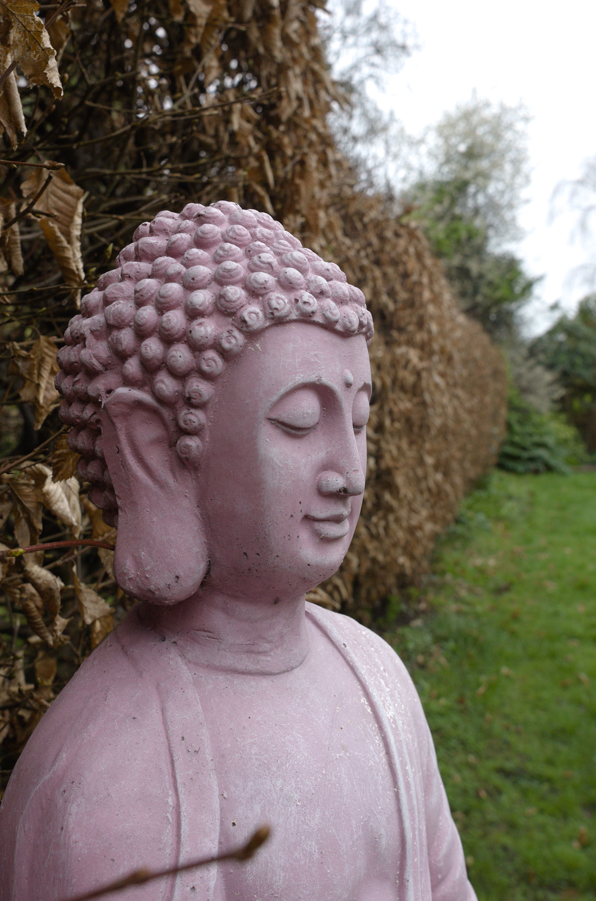 Nikon D70 + Nikkor AF 20mm f/2.8 D