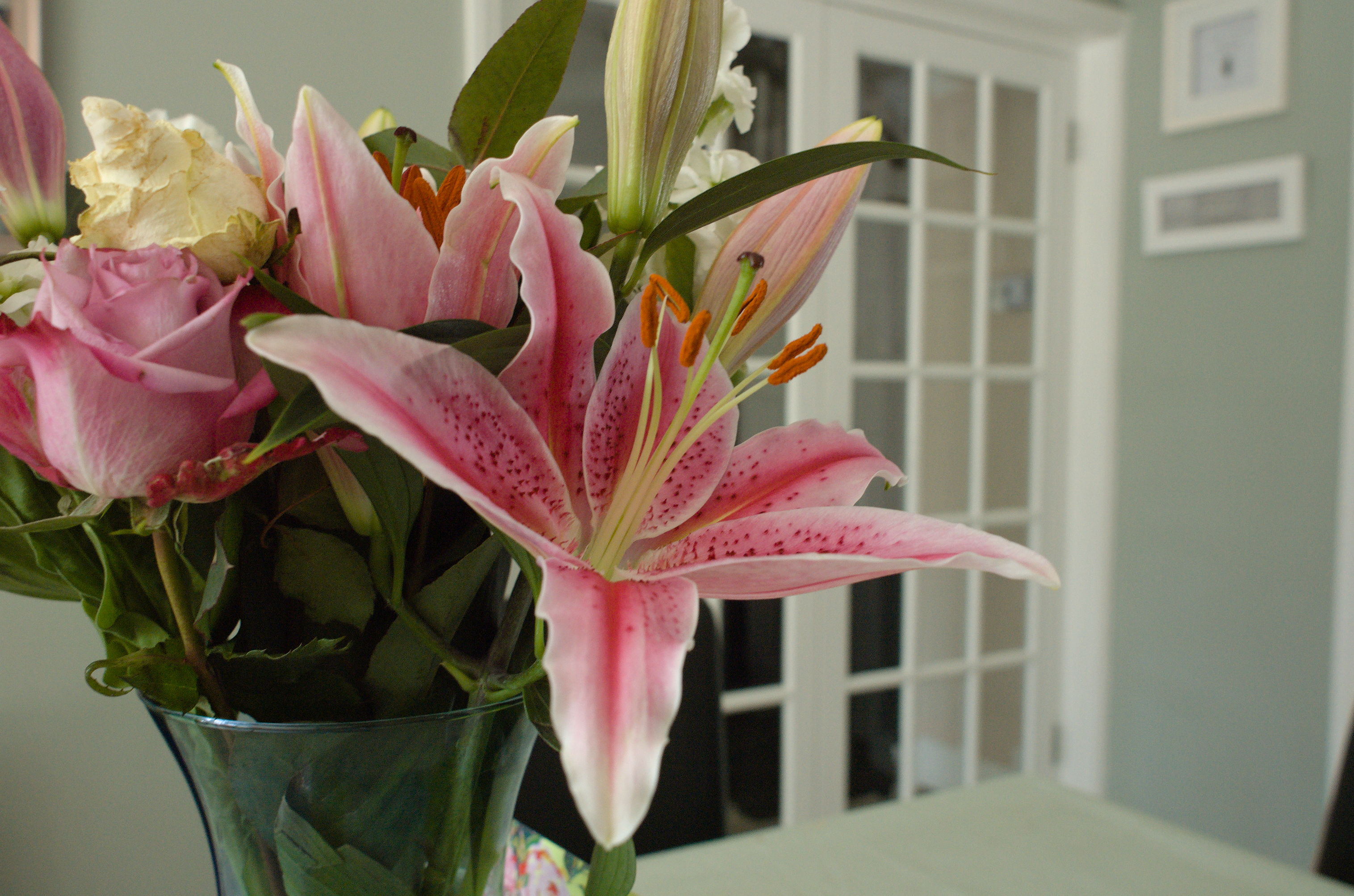 Nikon D70 + Nikkor AF 20mm f/2.8 D