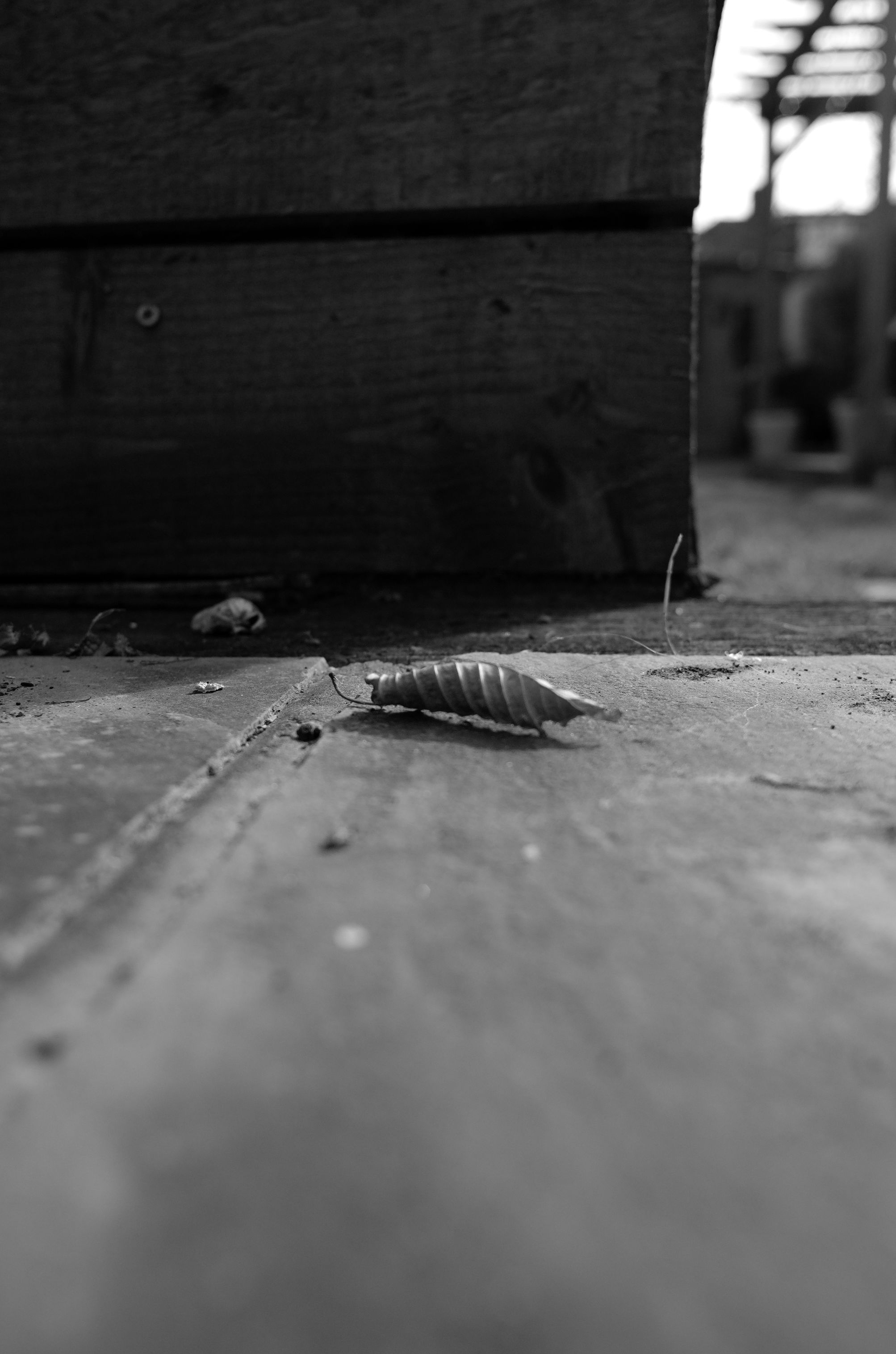 Nikon D70 + Nikkor AF 20mm f/2.8 D