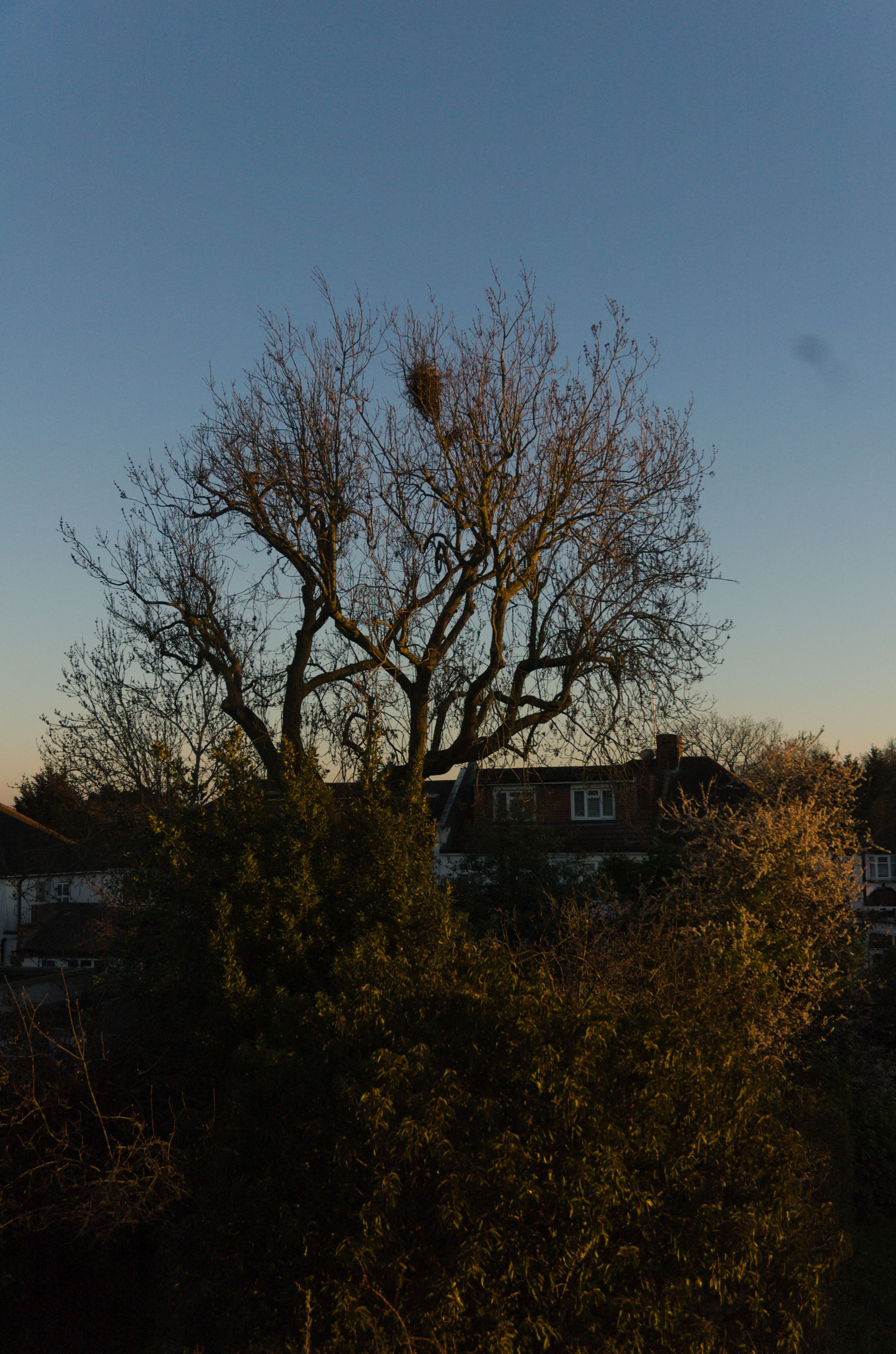 Nikon D70 + Nikkor 18-70mm f/3.5-4.5G